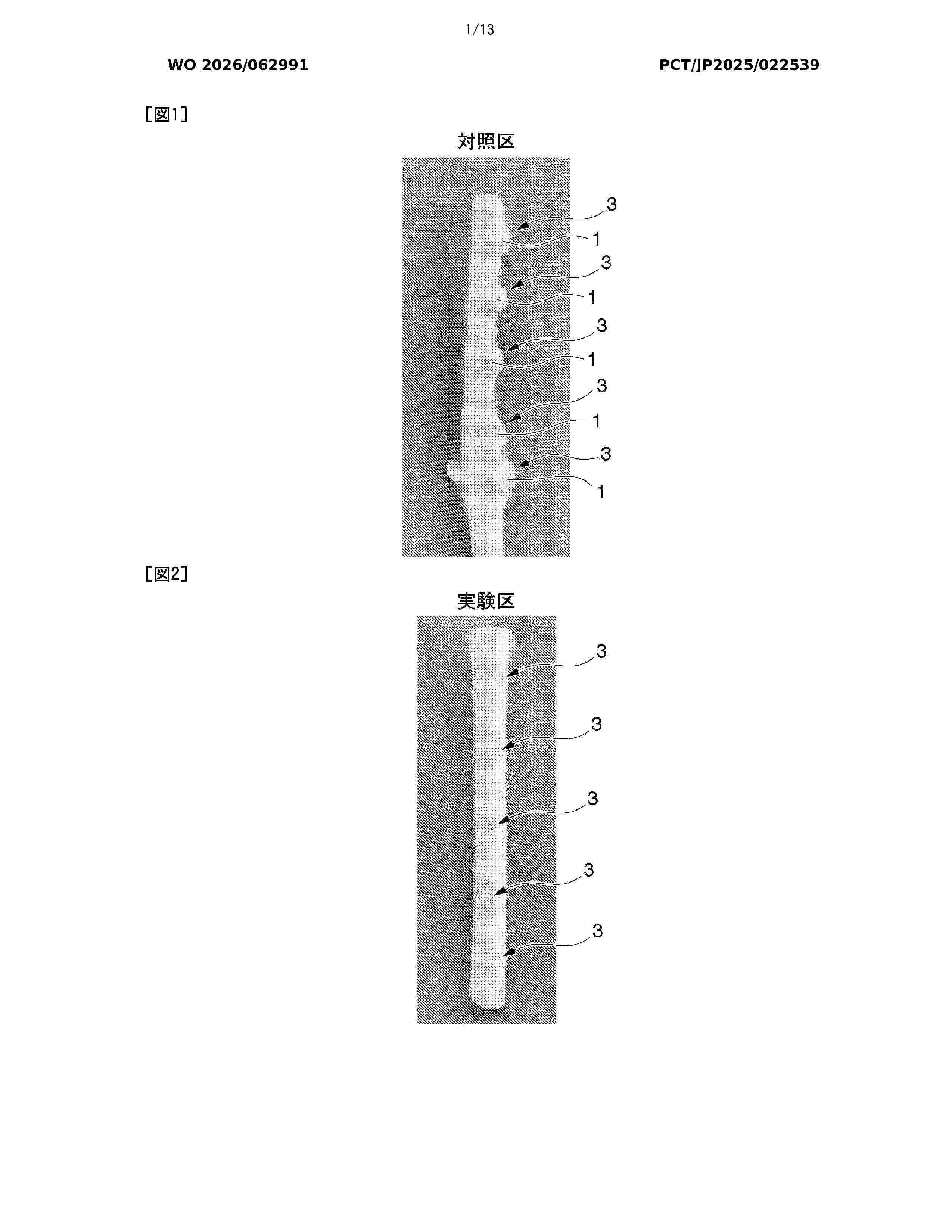 WO_2026062991_A1