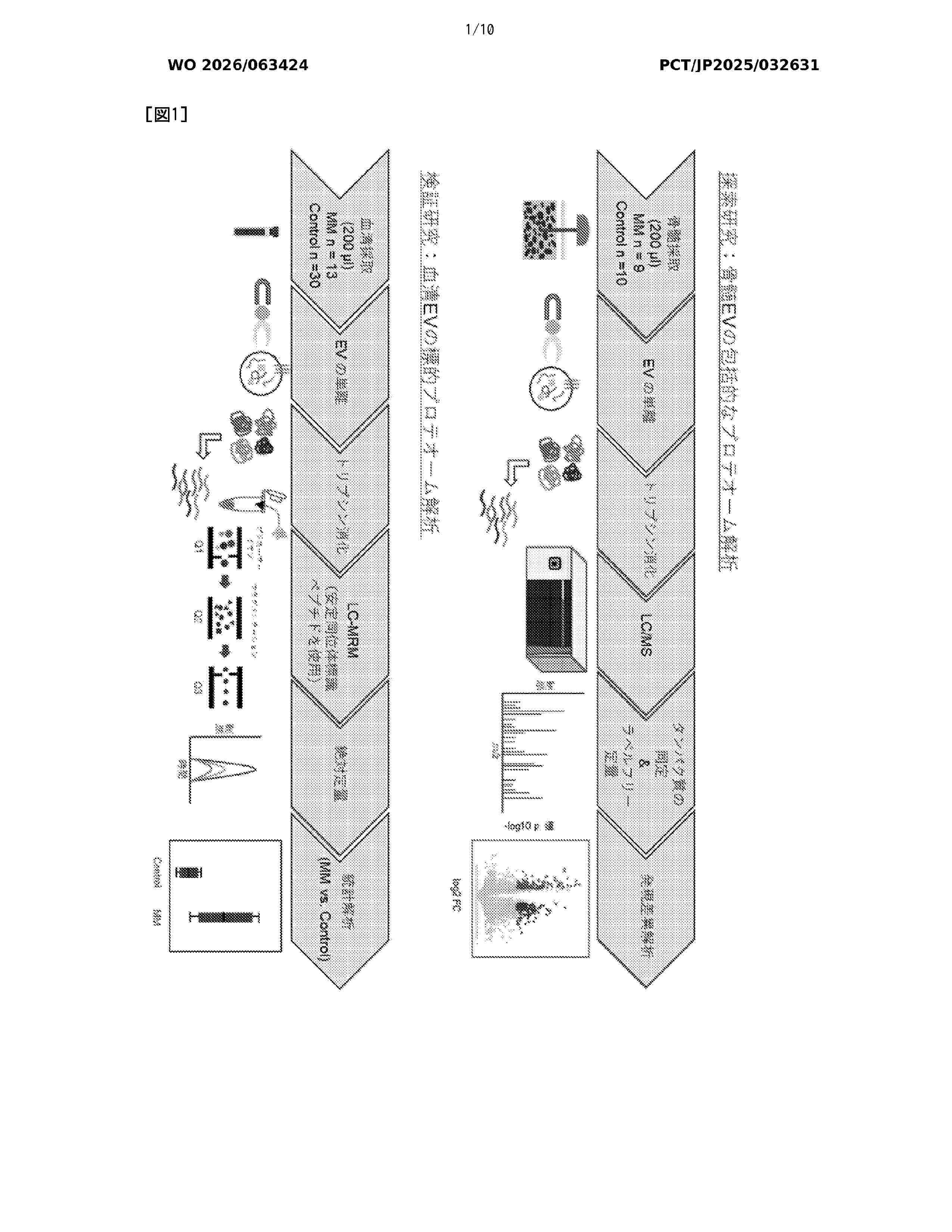 WO_2026063424_A1