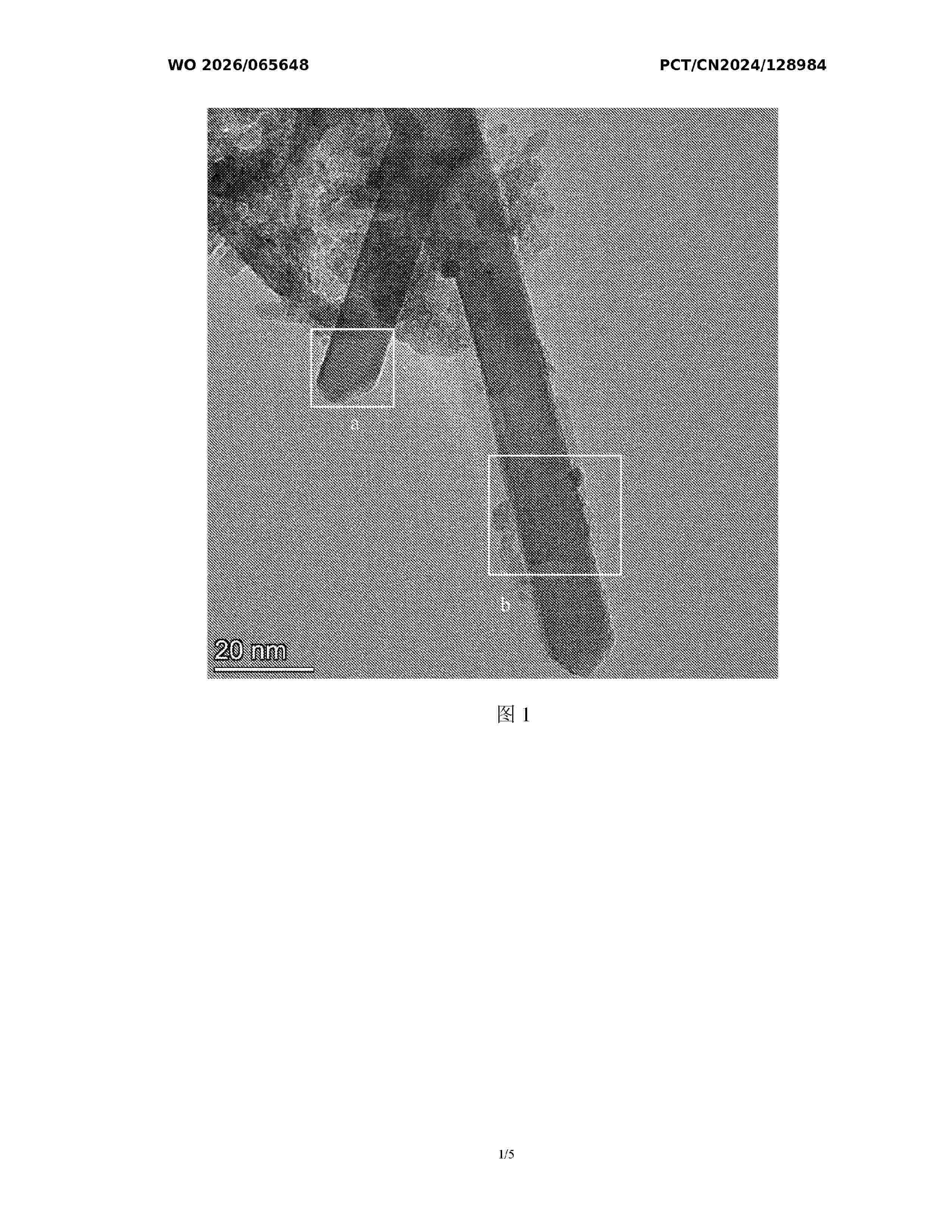 WO_2026065648_A1