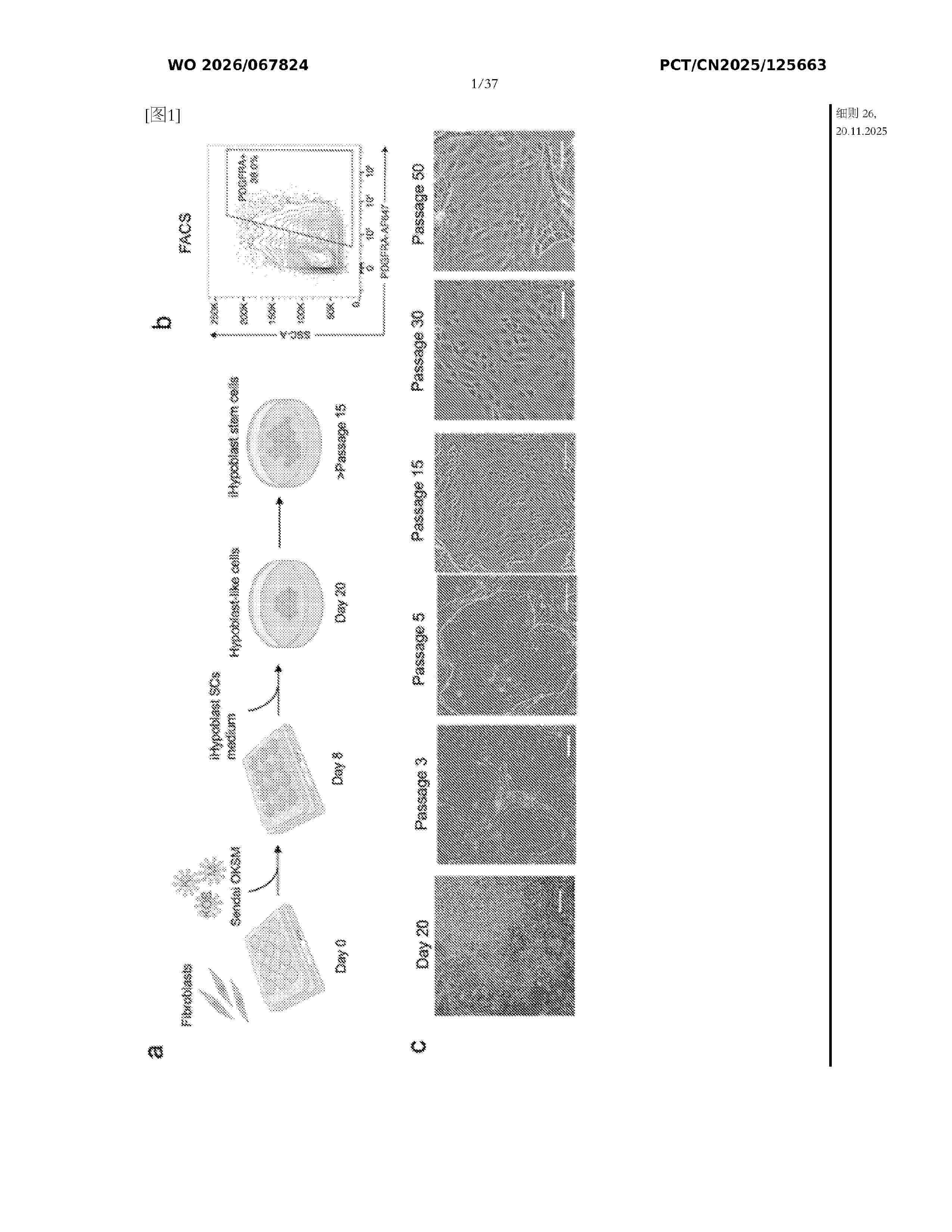WO_2026067824_A1