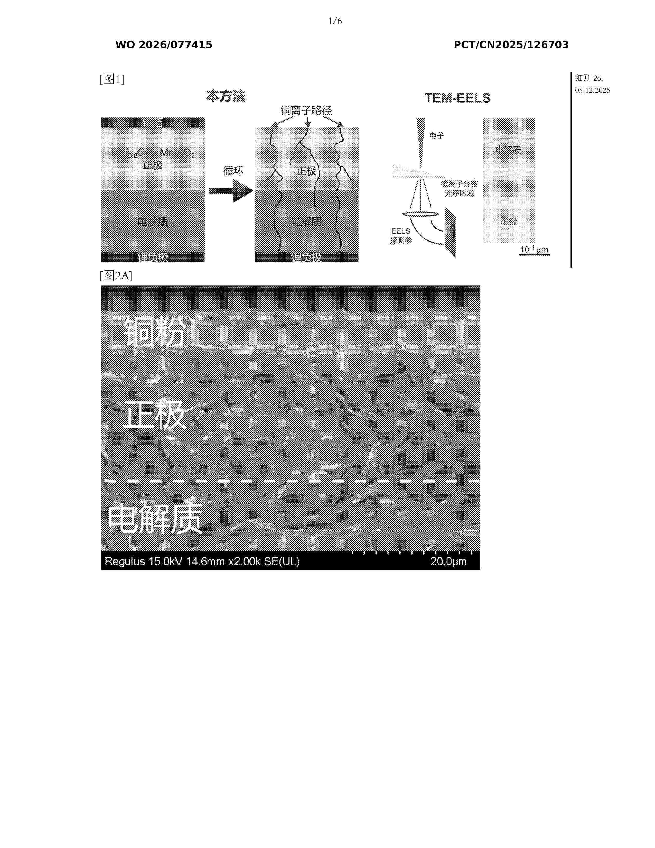 WO_2026077415_A1