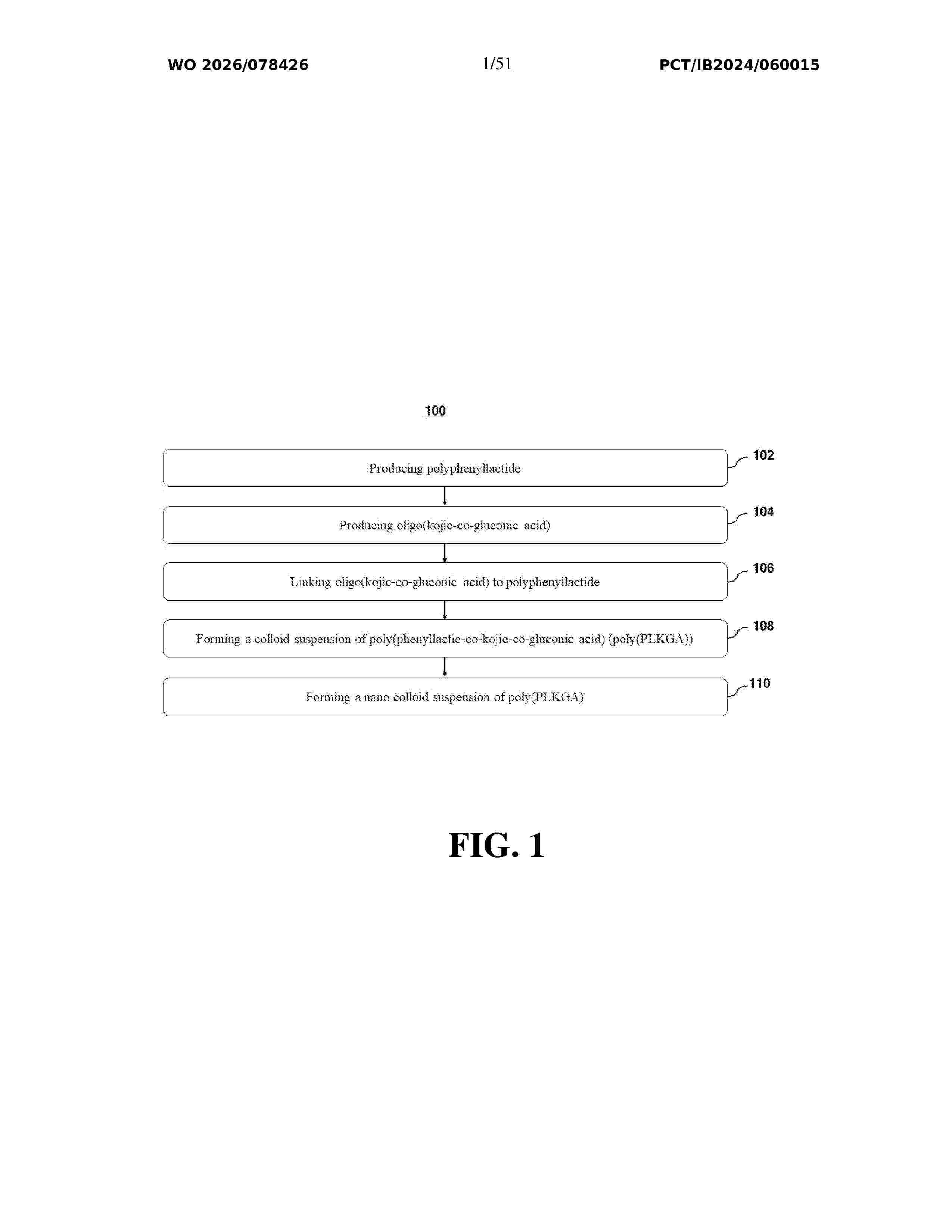 WO_2026078426_A1