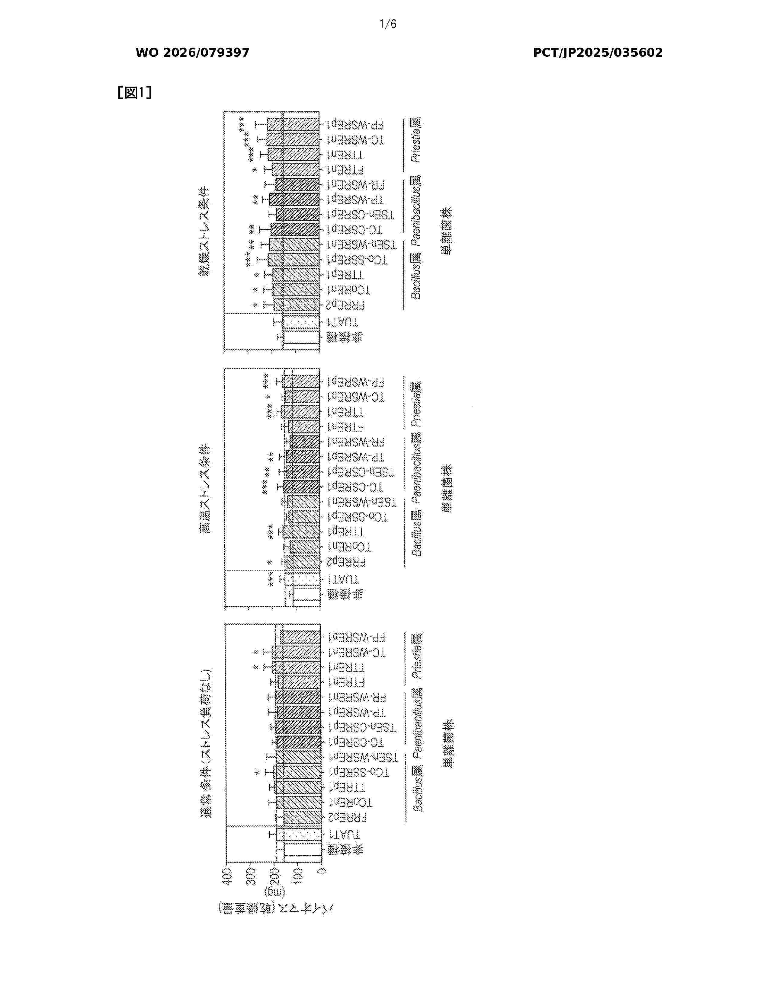 WO_2026079397_A1
