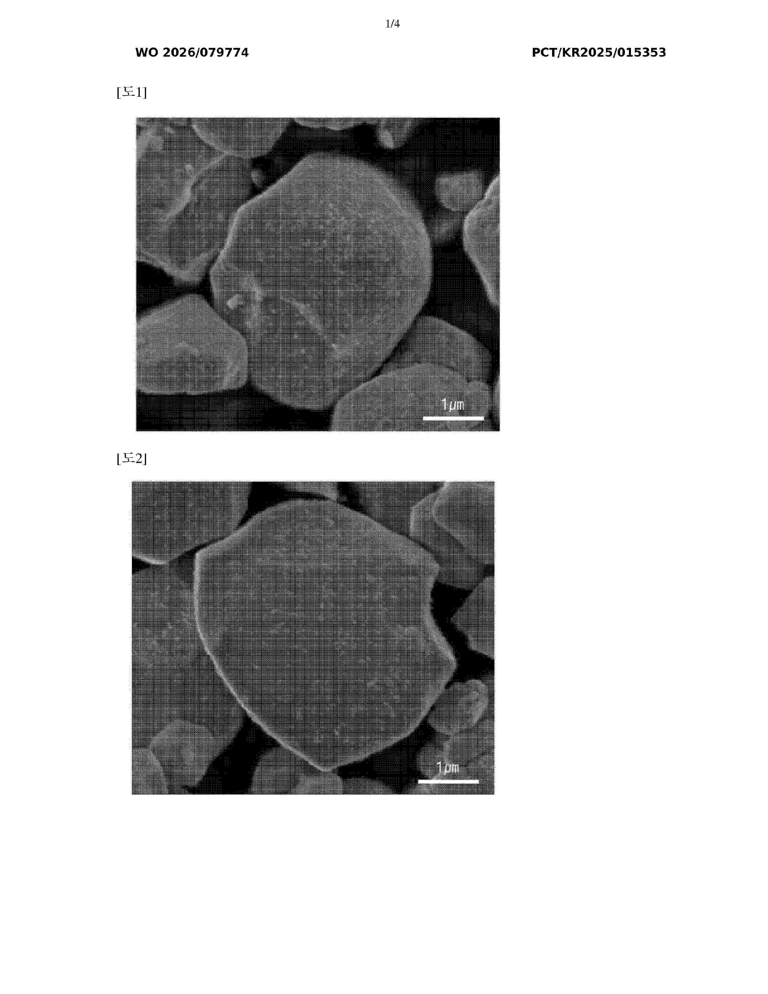 WO_2026079774_A1