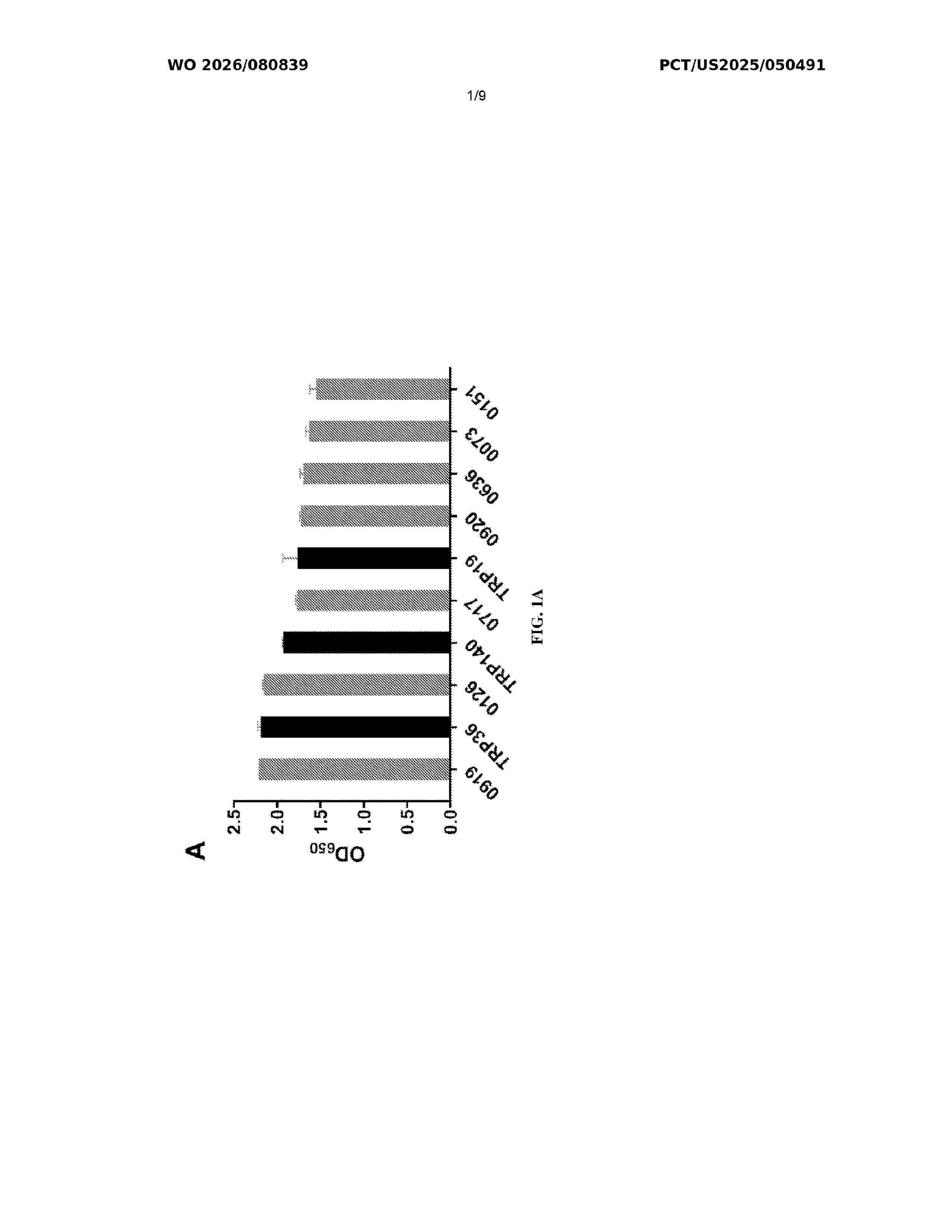WO_2026080839_A1