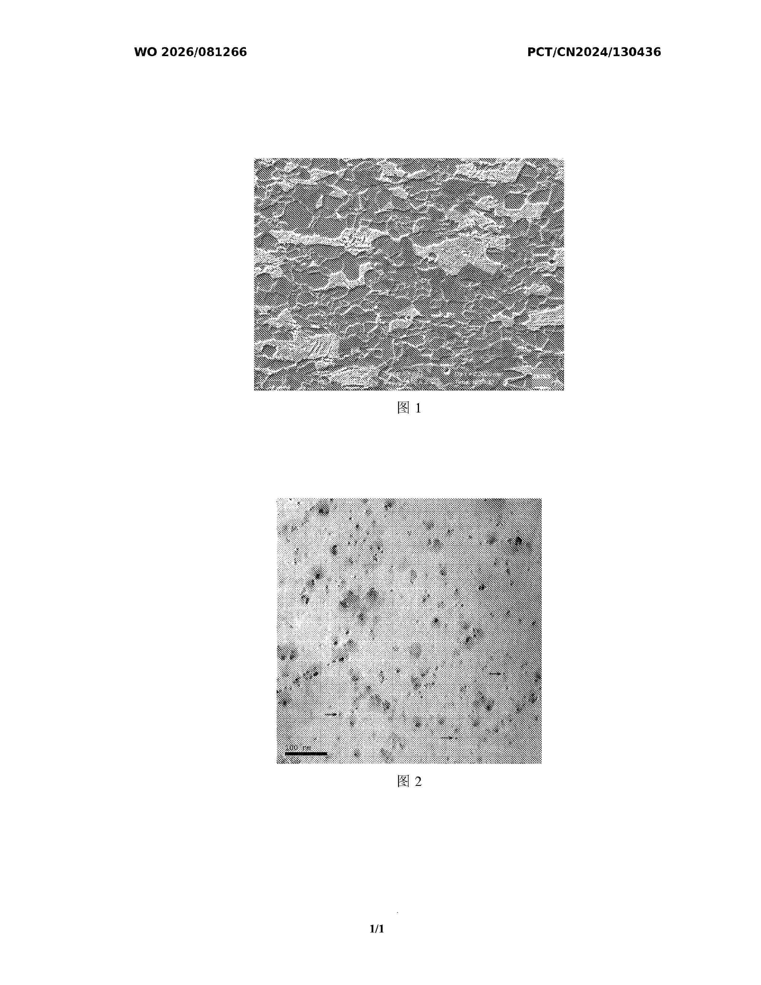 WO_2026081266_A1