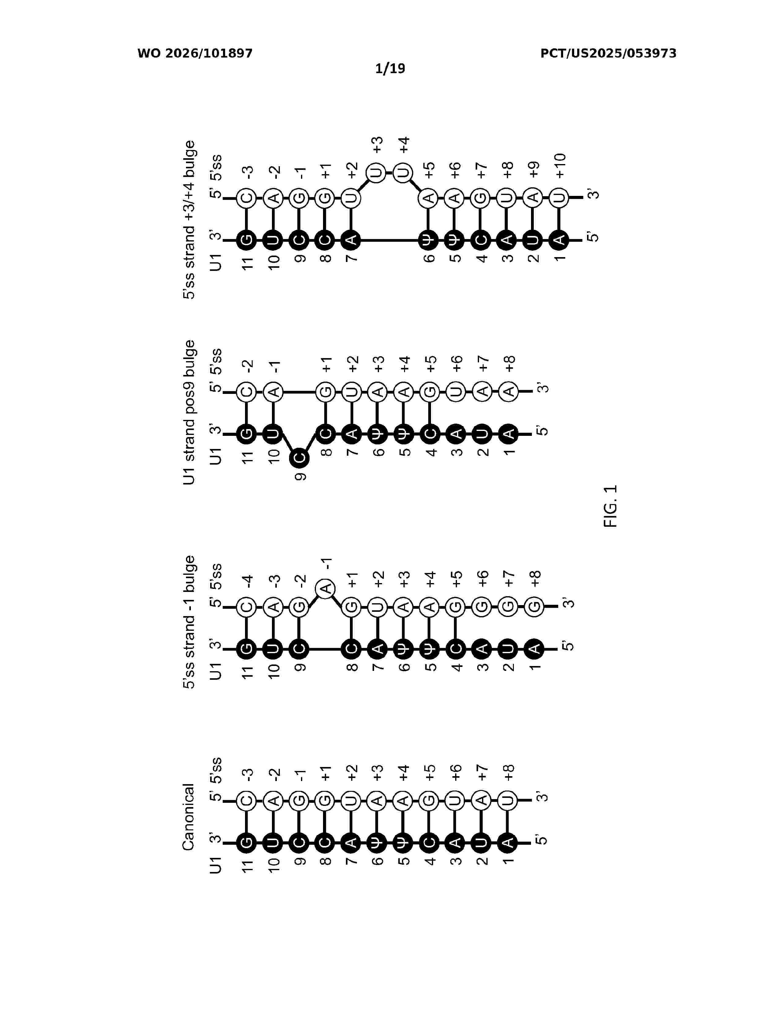 WO_2026101897_A1