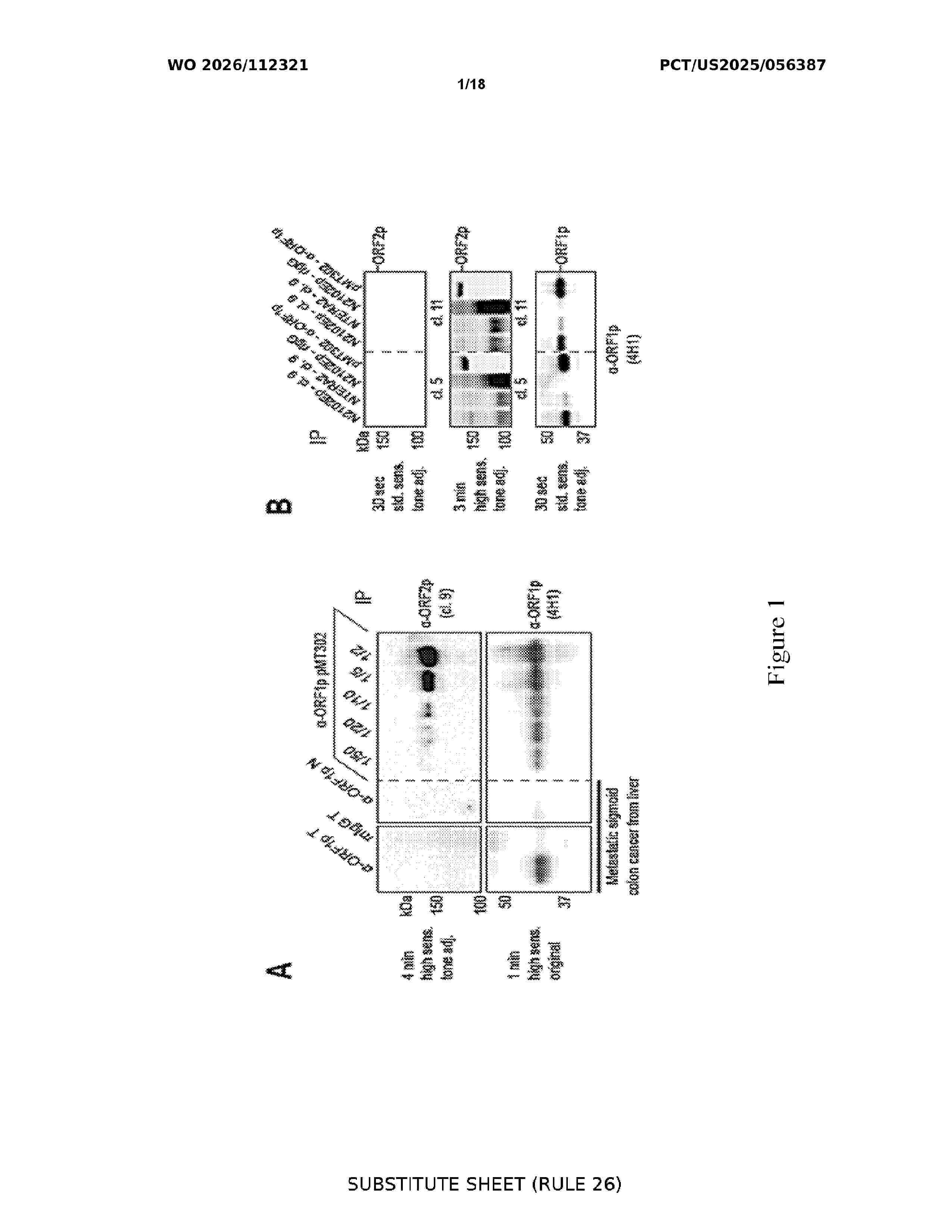 WO_2026112321_A1
