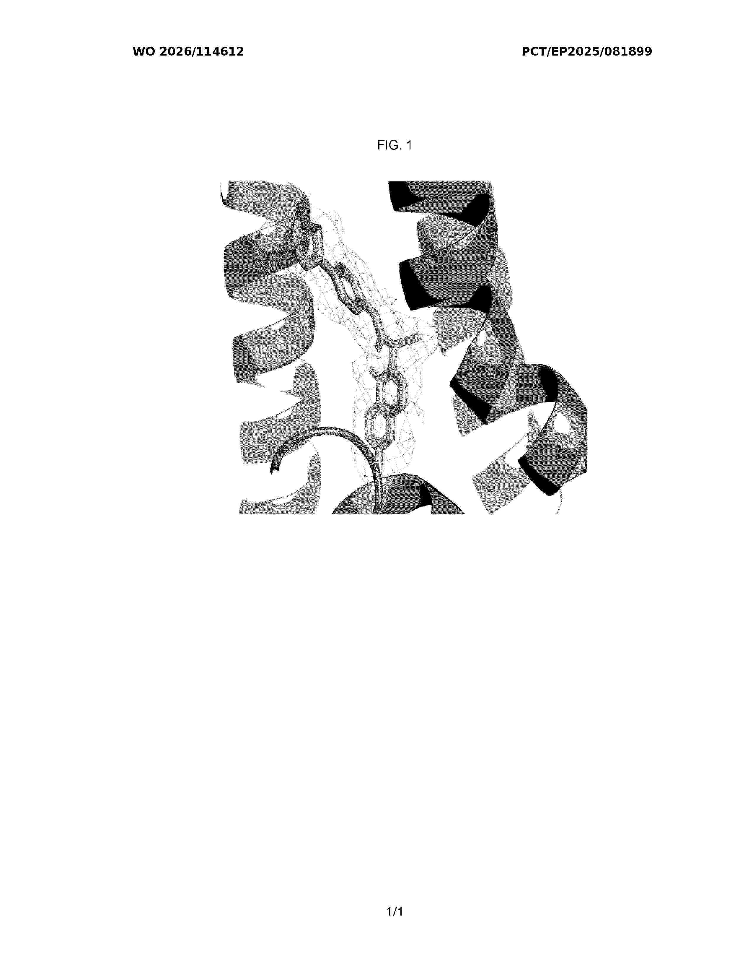 WO_2026114612_A1