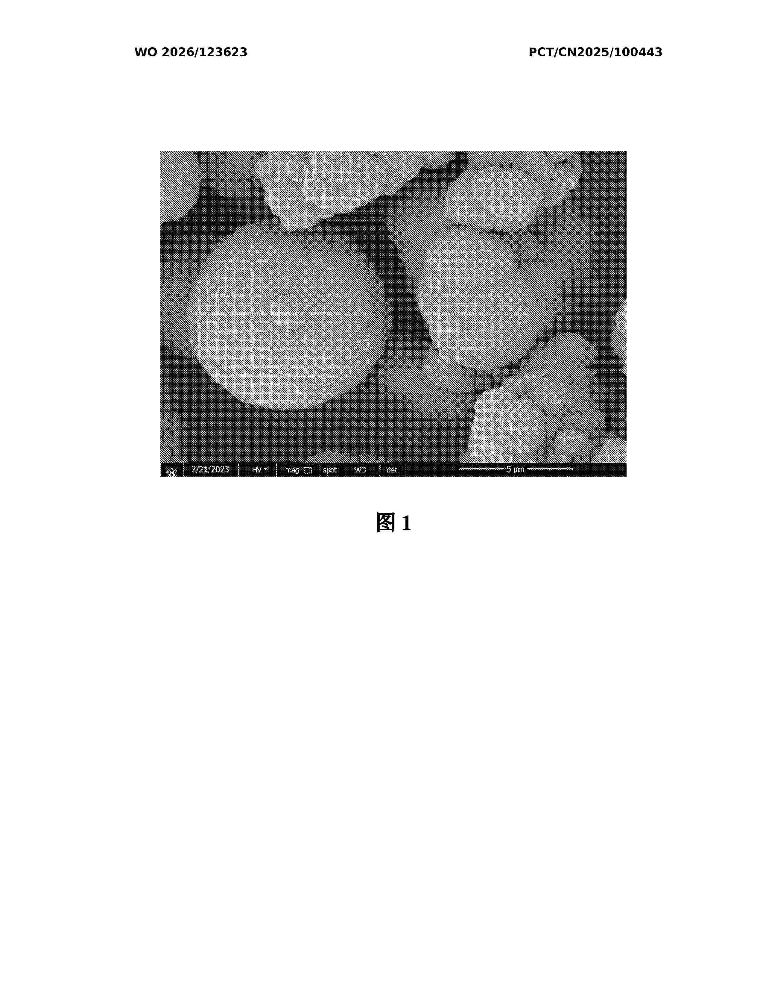 WO_2026123623_A1