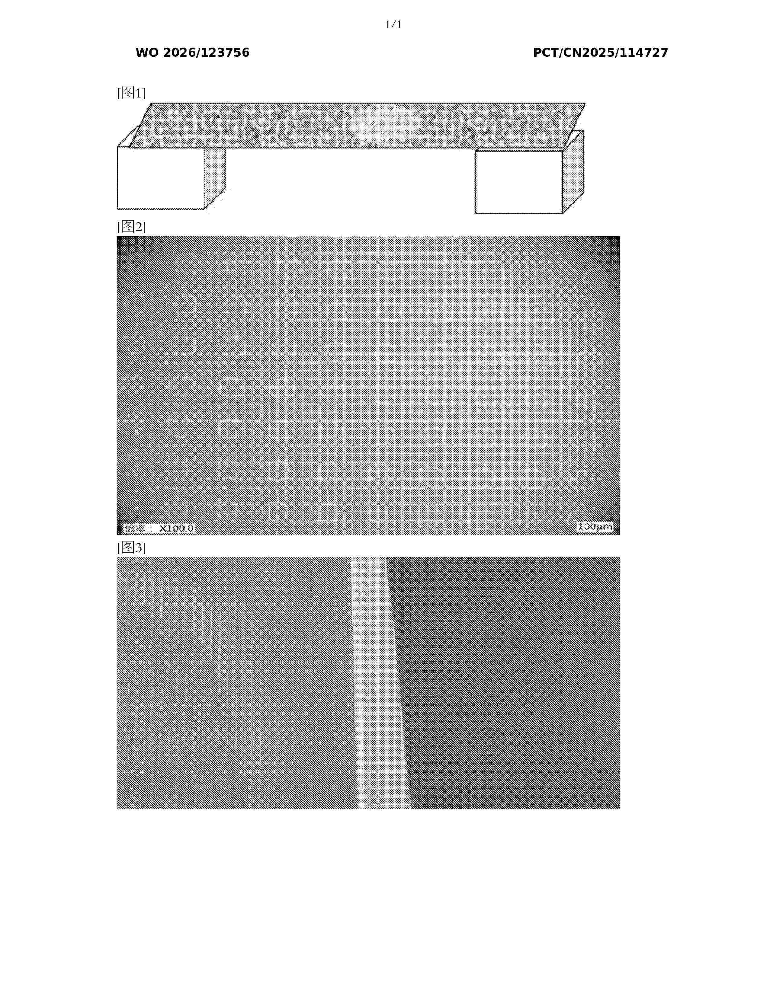 WO_2026123756_A1