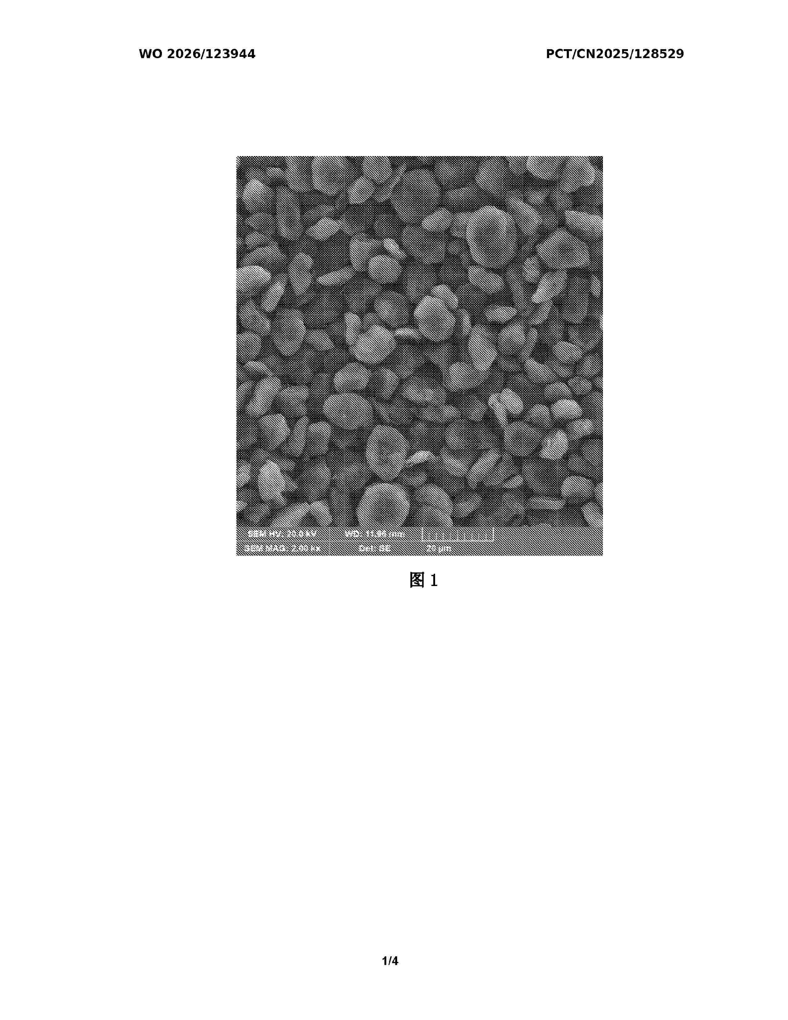 WO_2026123944_A1