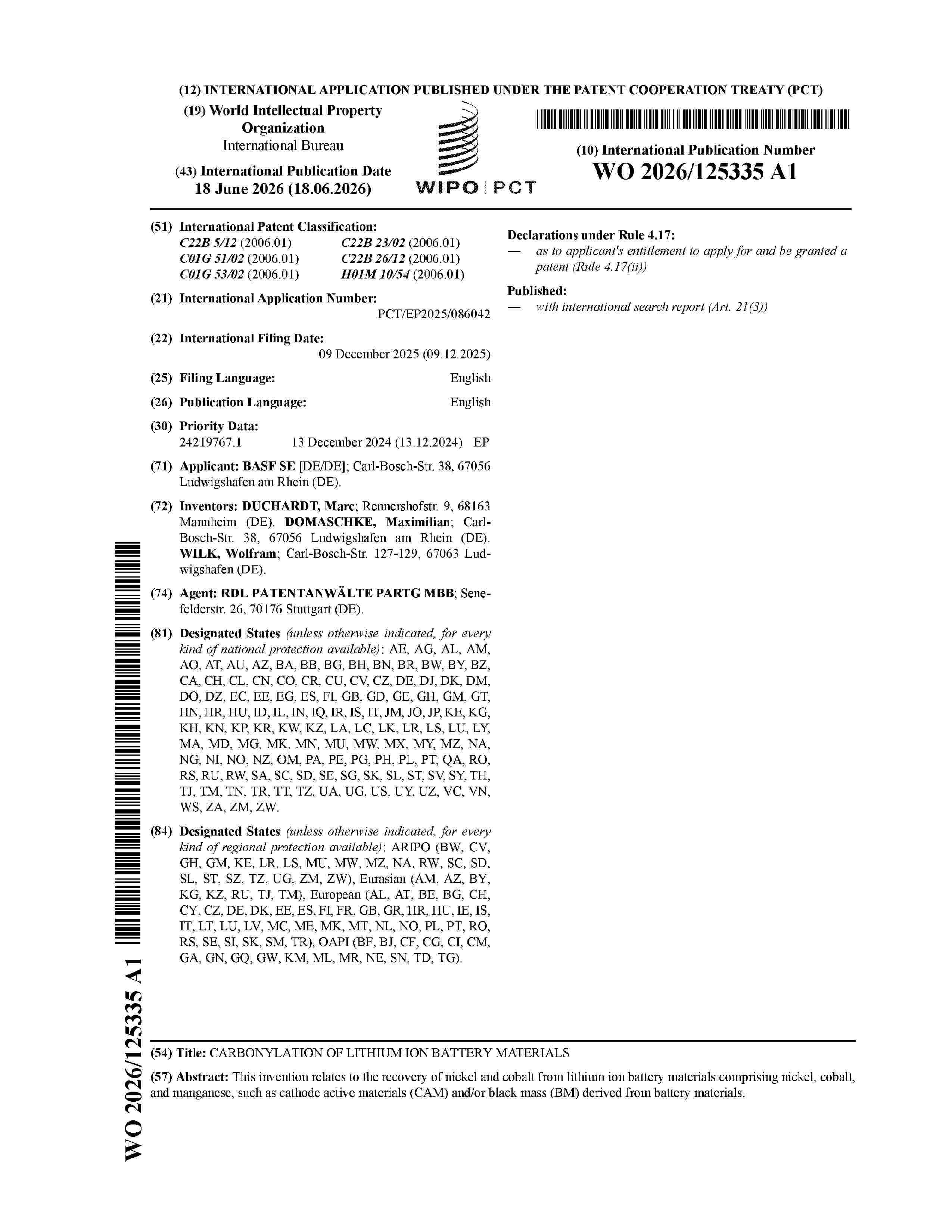 WO_2026125335_A1