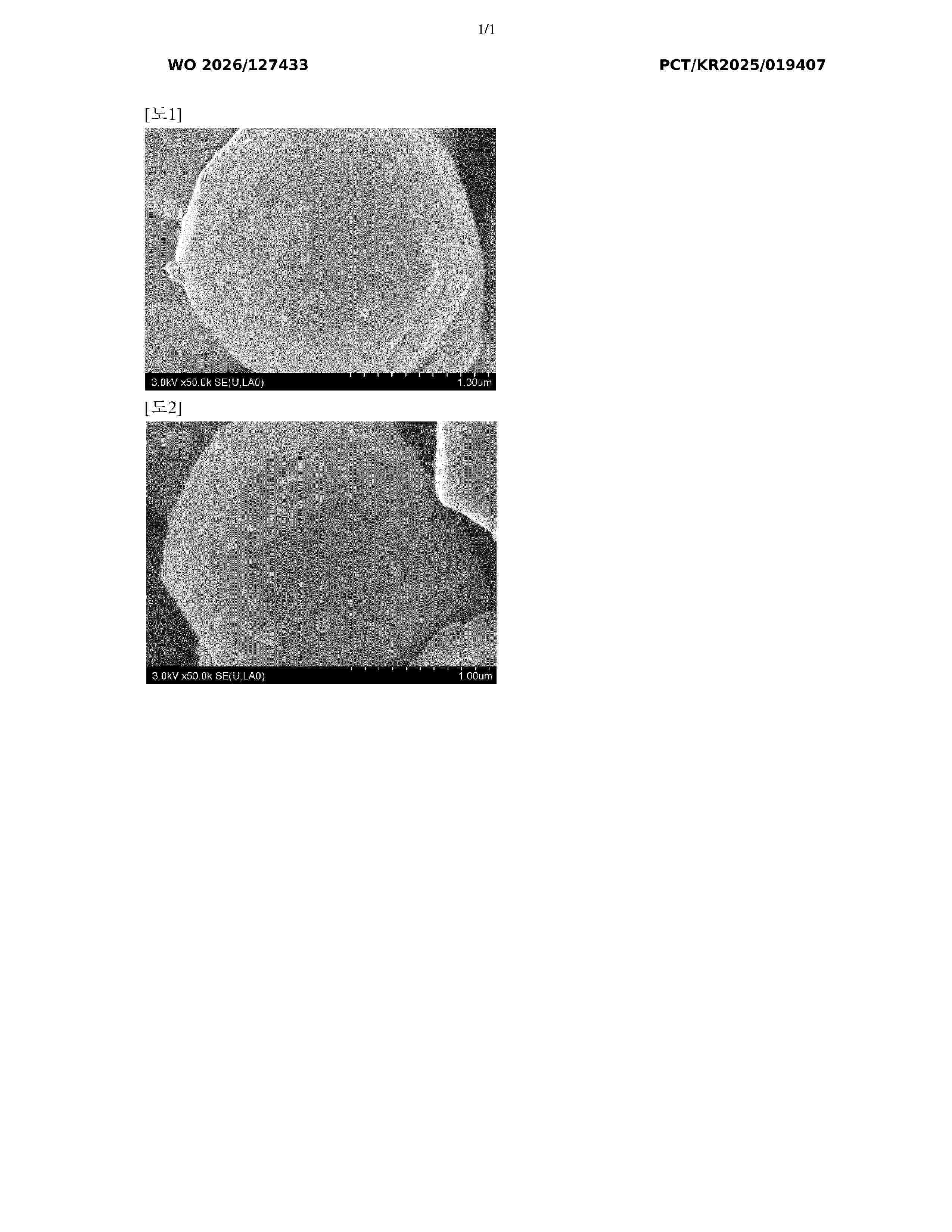 WO_2026127433_A1