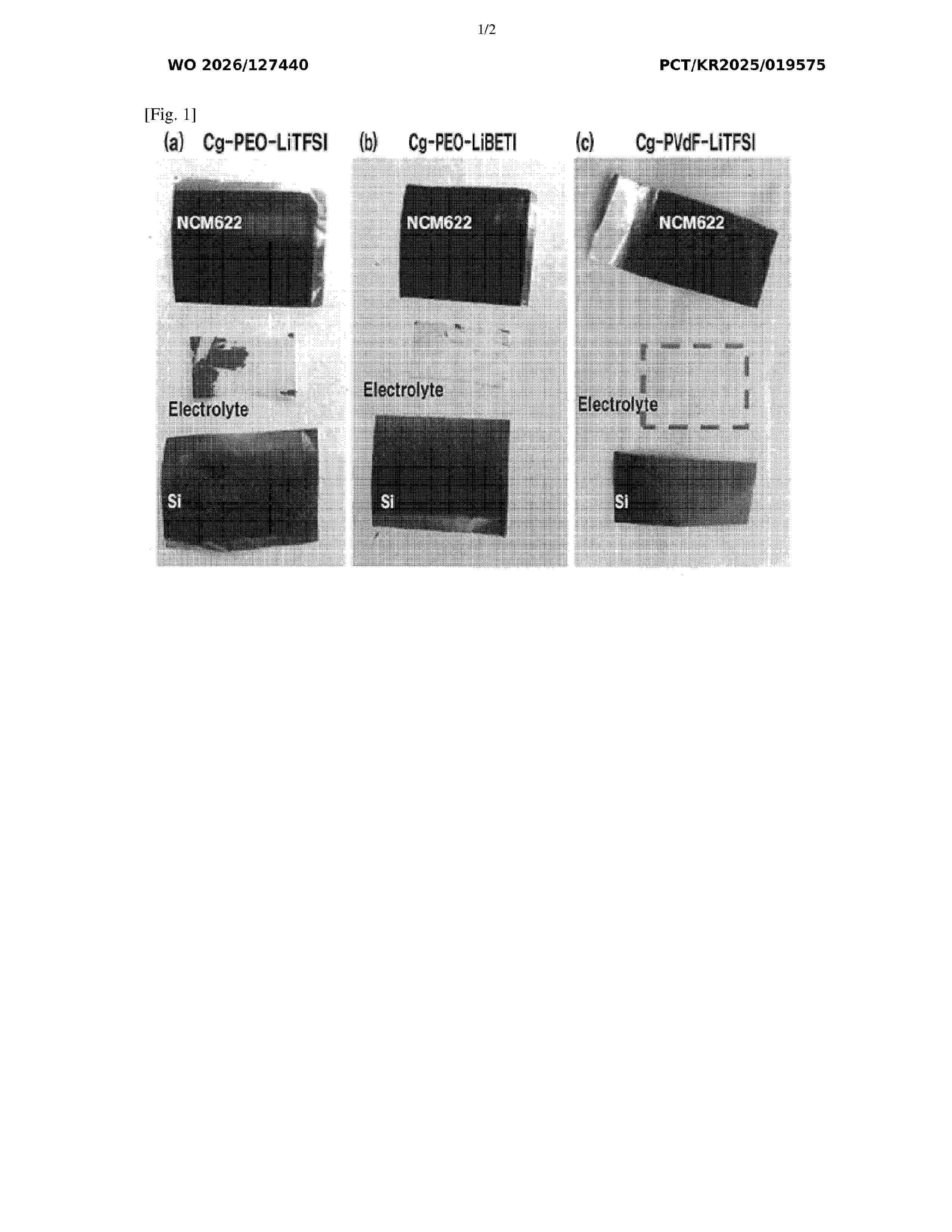 WO_2026127440_A1