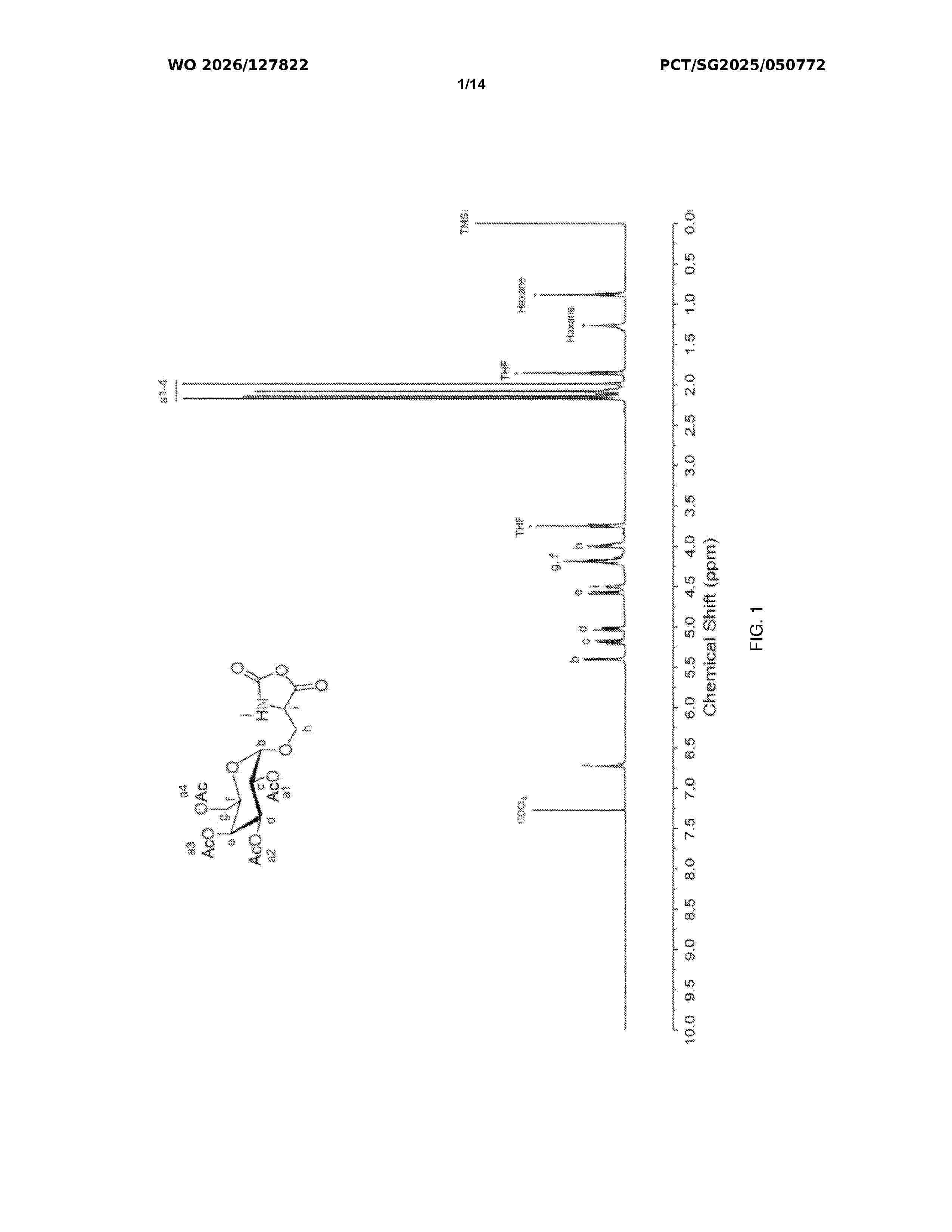 WO_2026127822_A1