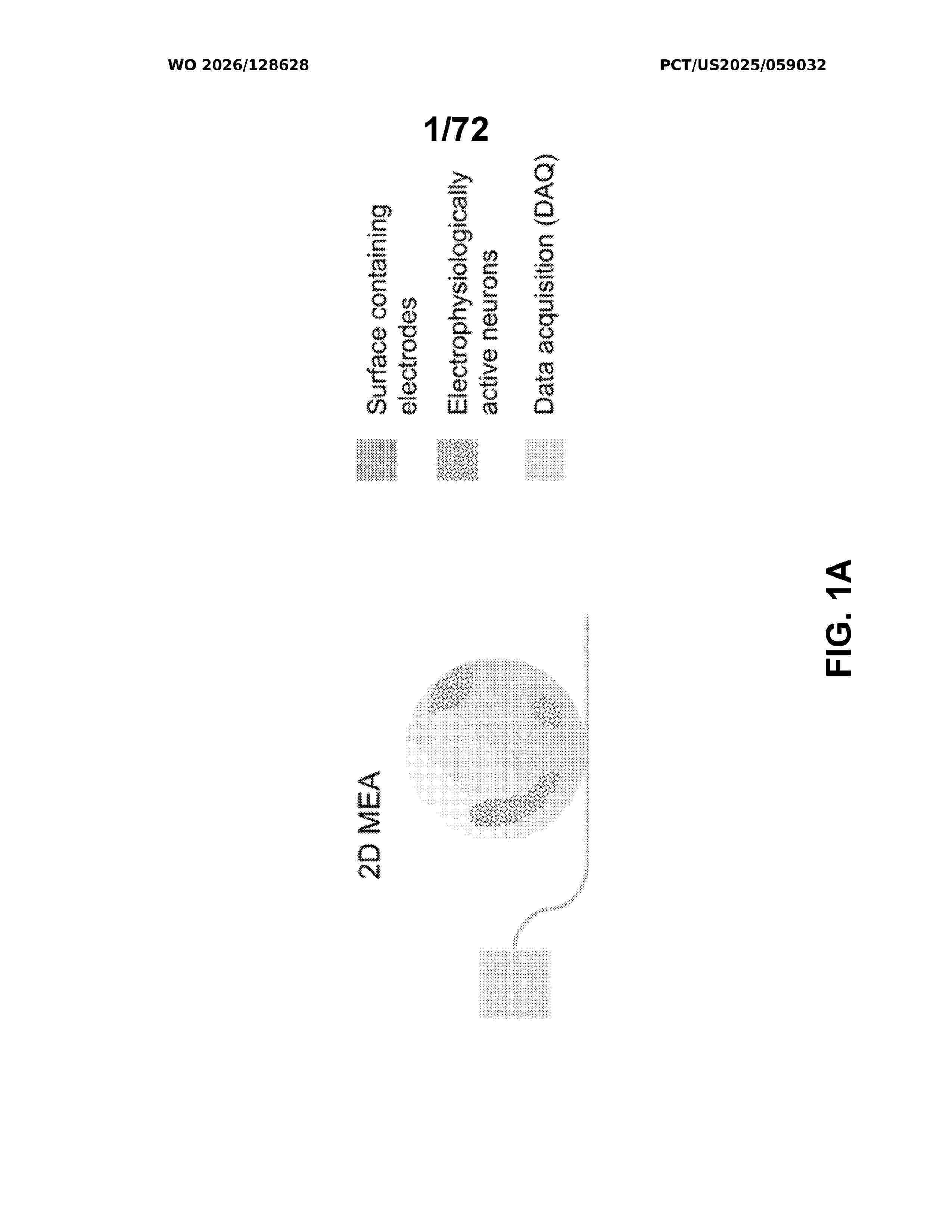 WO_2026128628_A1