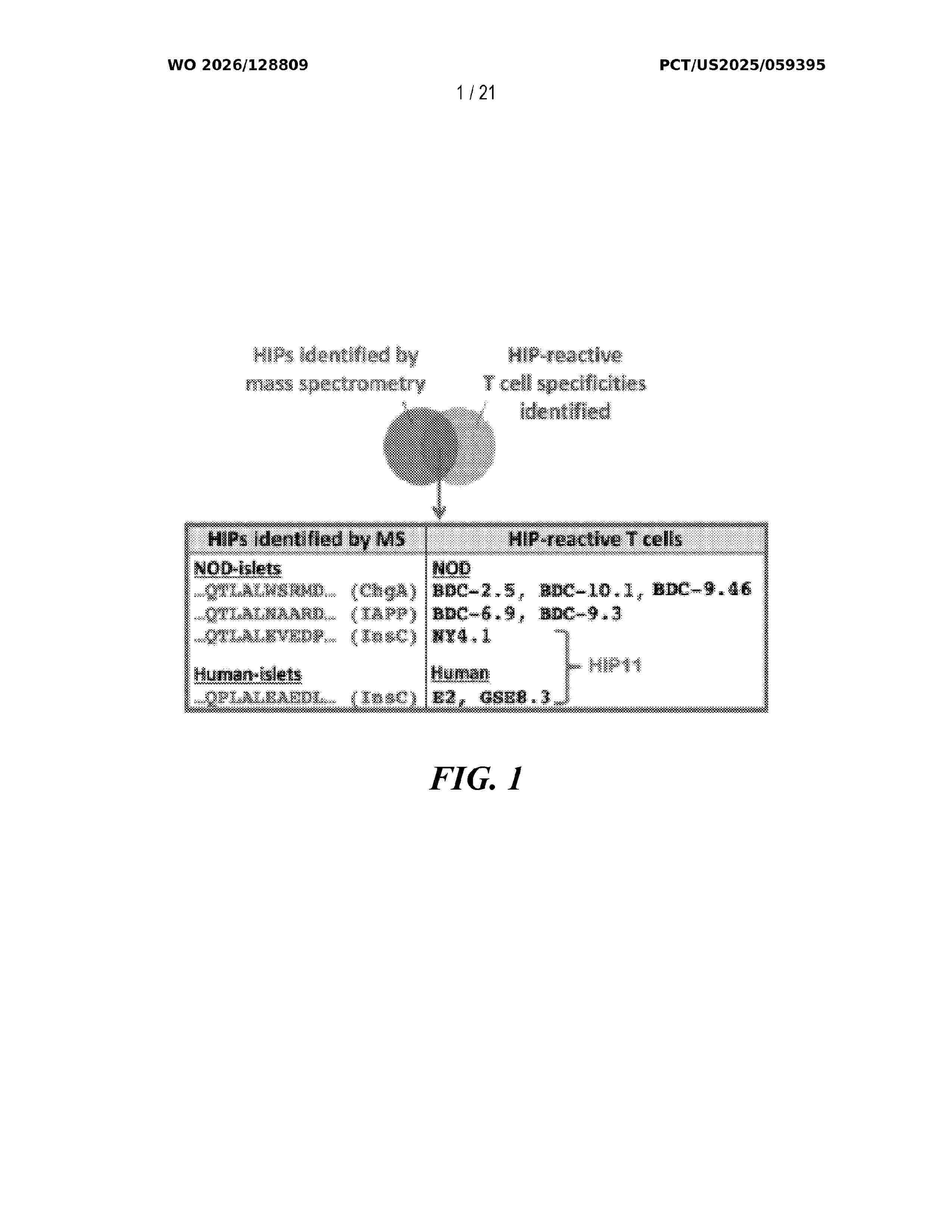 WO_2026128809_A1