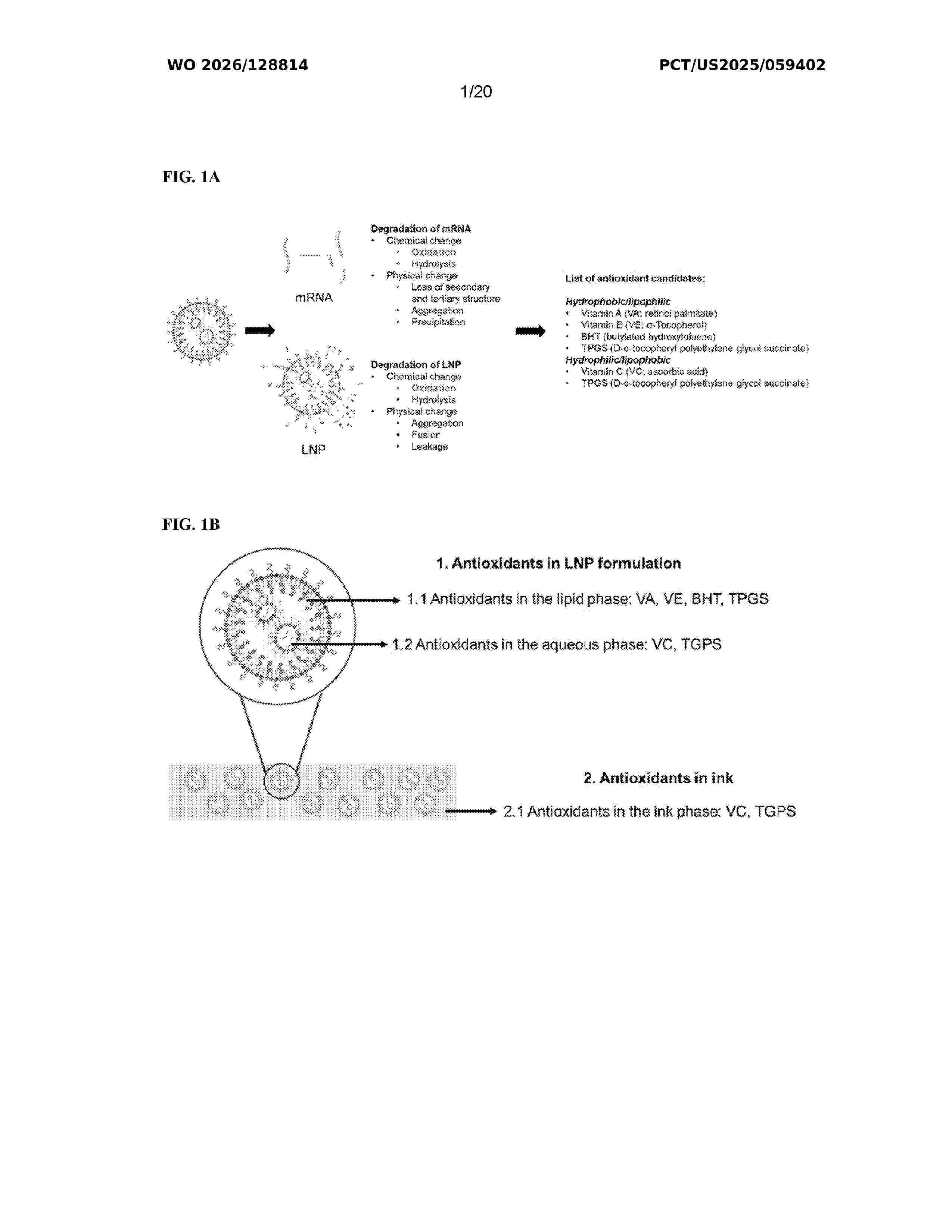 WO_2026128814_A1