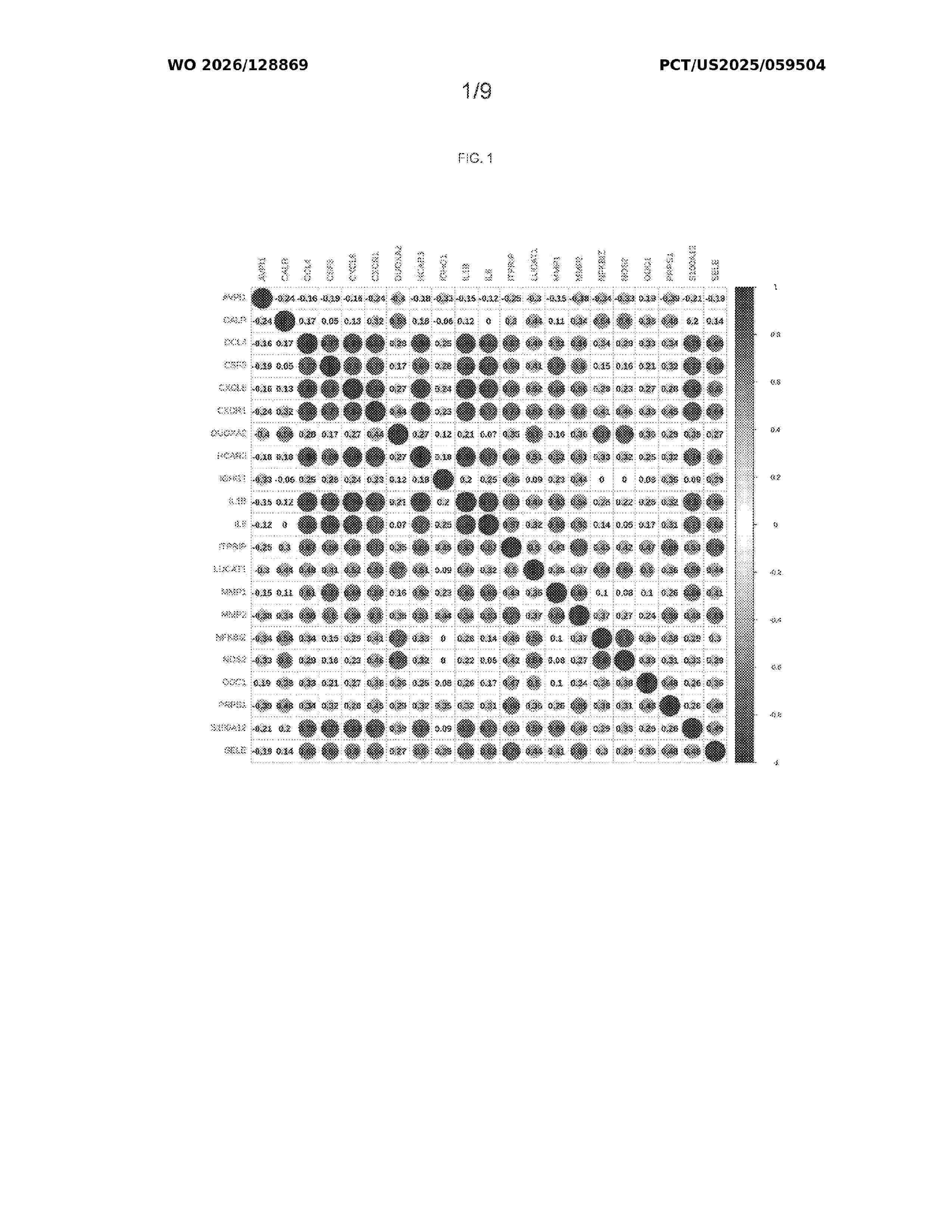 WO_2026128869_A1