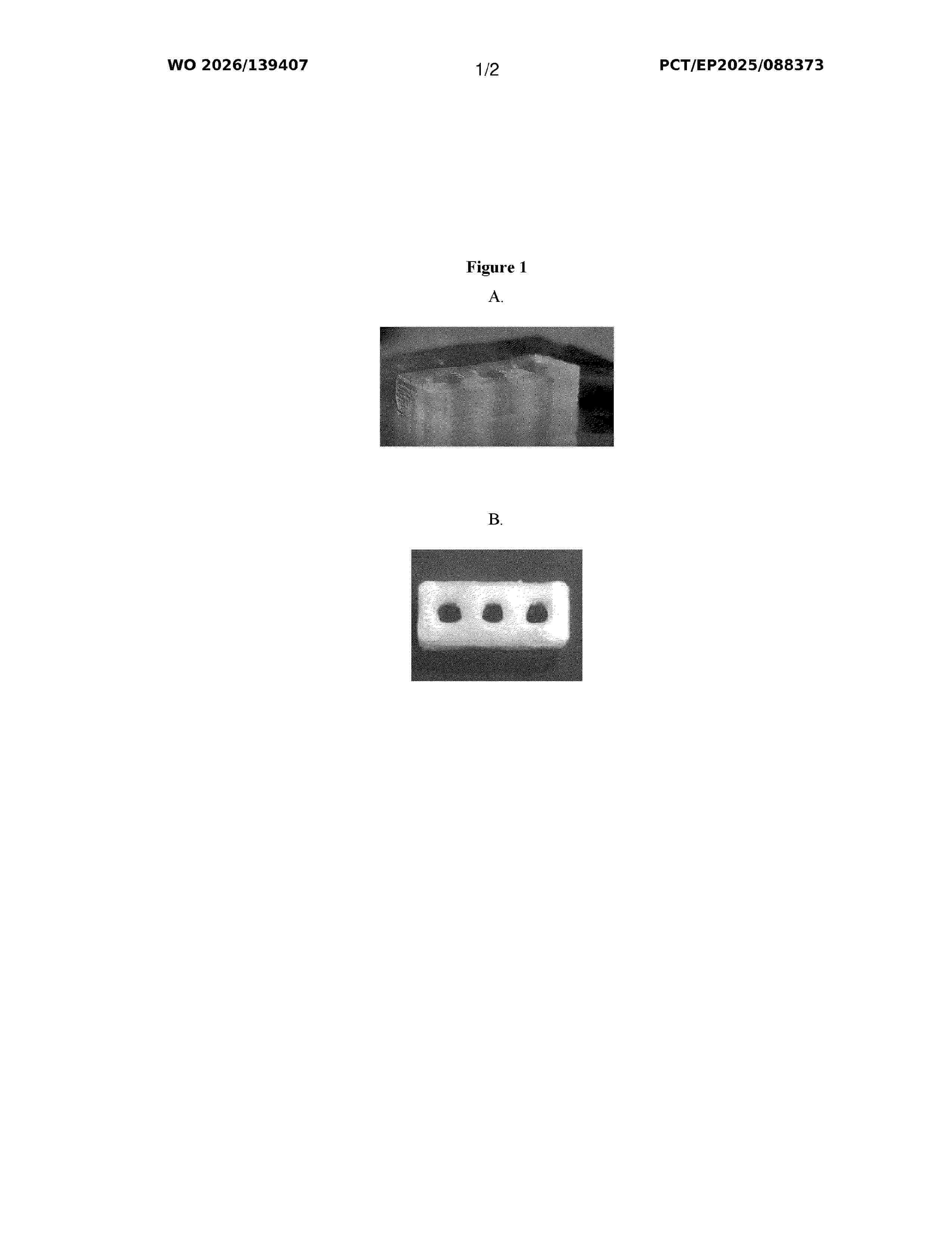 WO_2026139407_A1