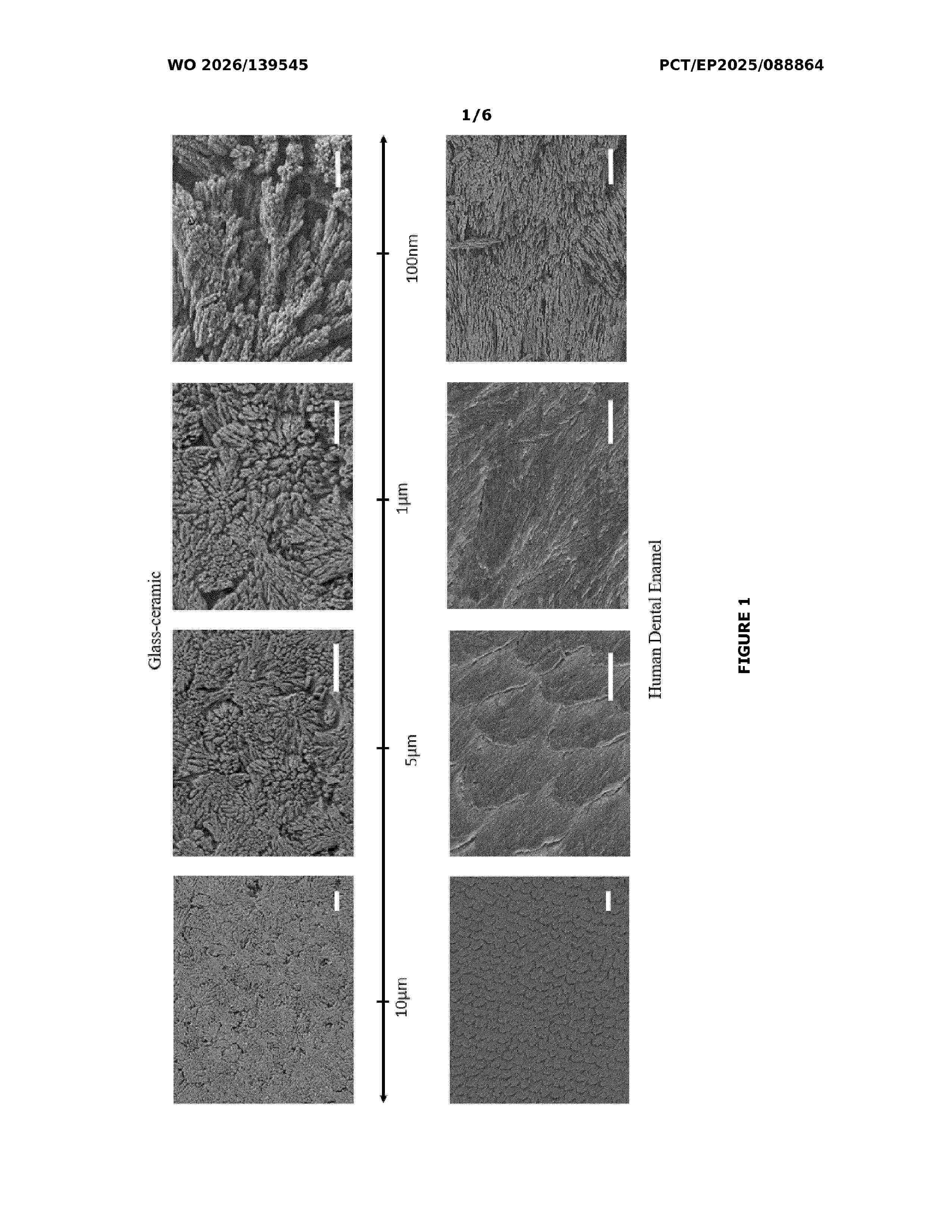 WO_2026139545_A1