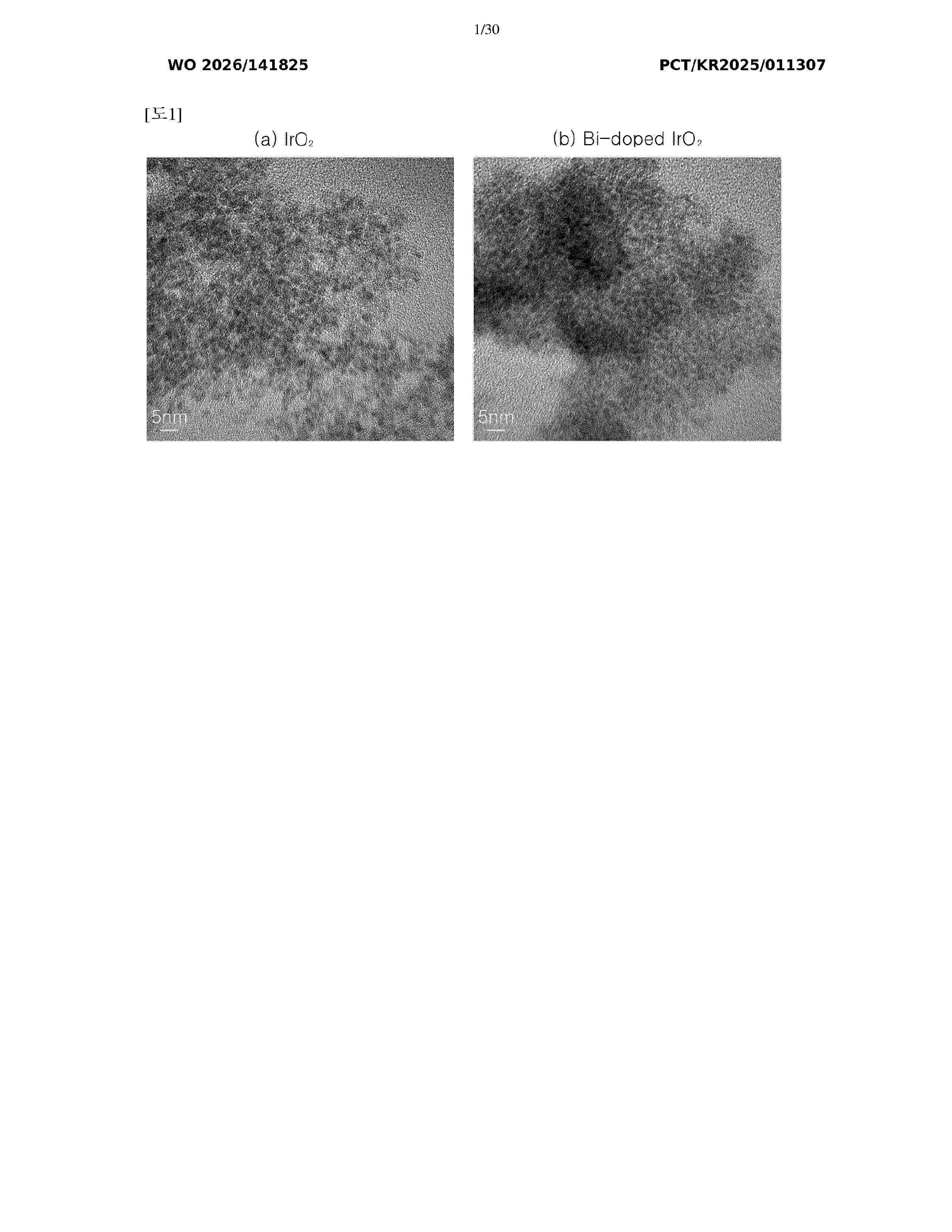 WO_2026141825_A1