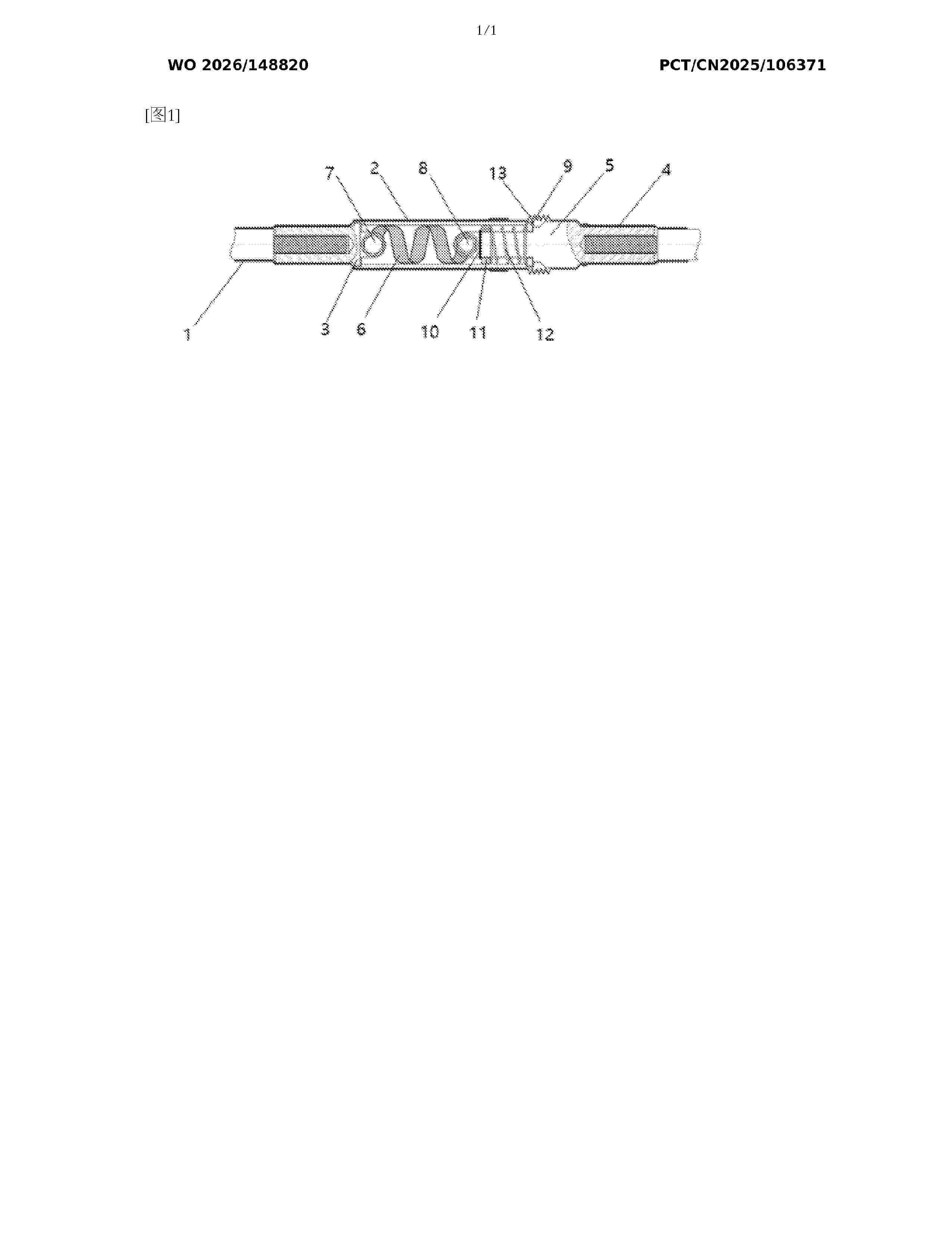 WO_2026148820_A1