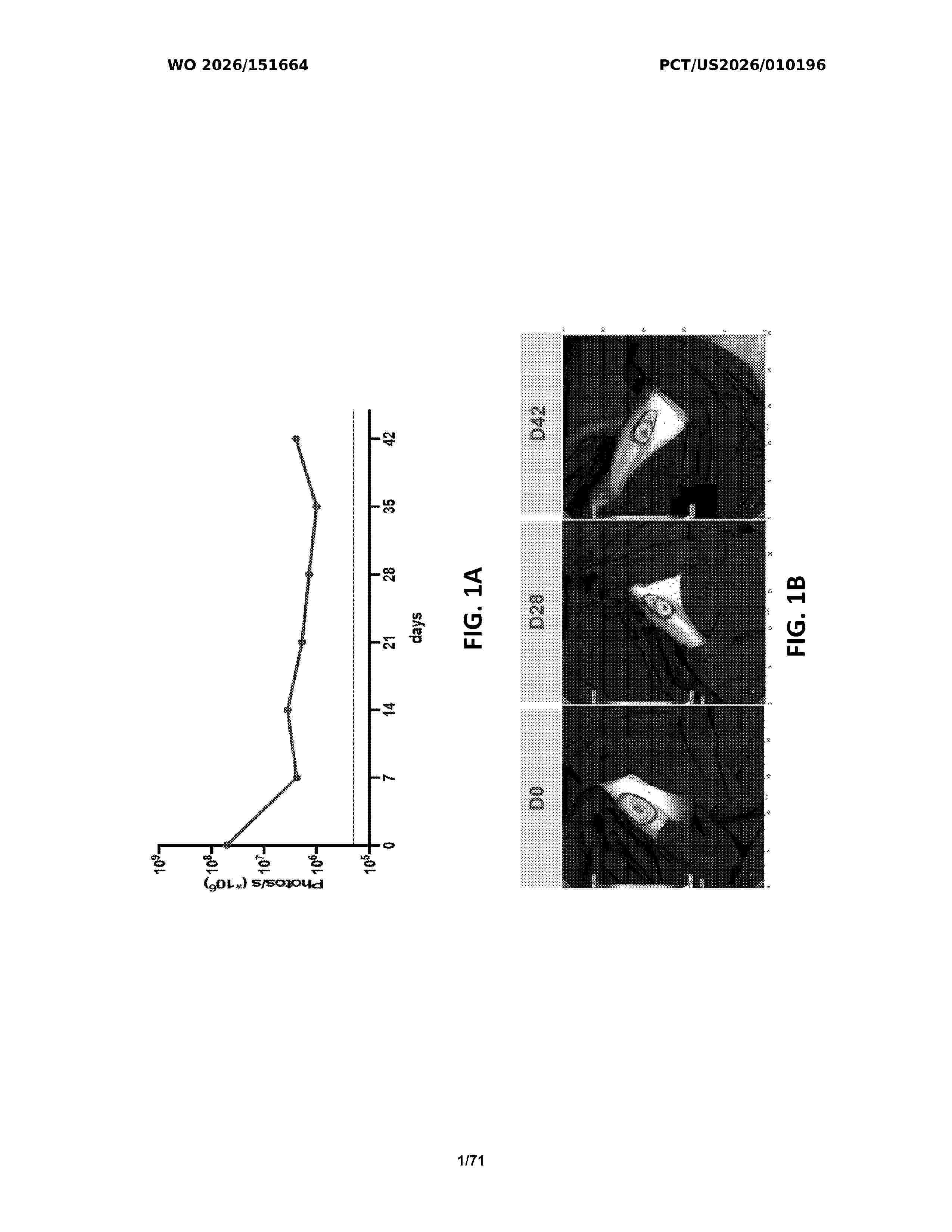 WO_2026151664_A1