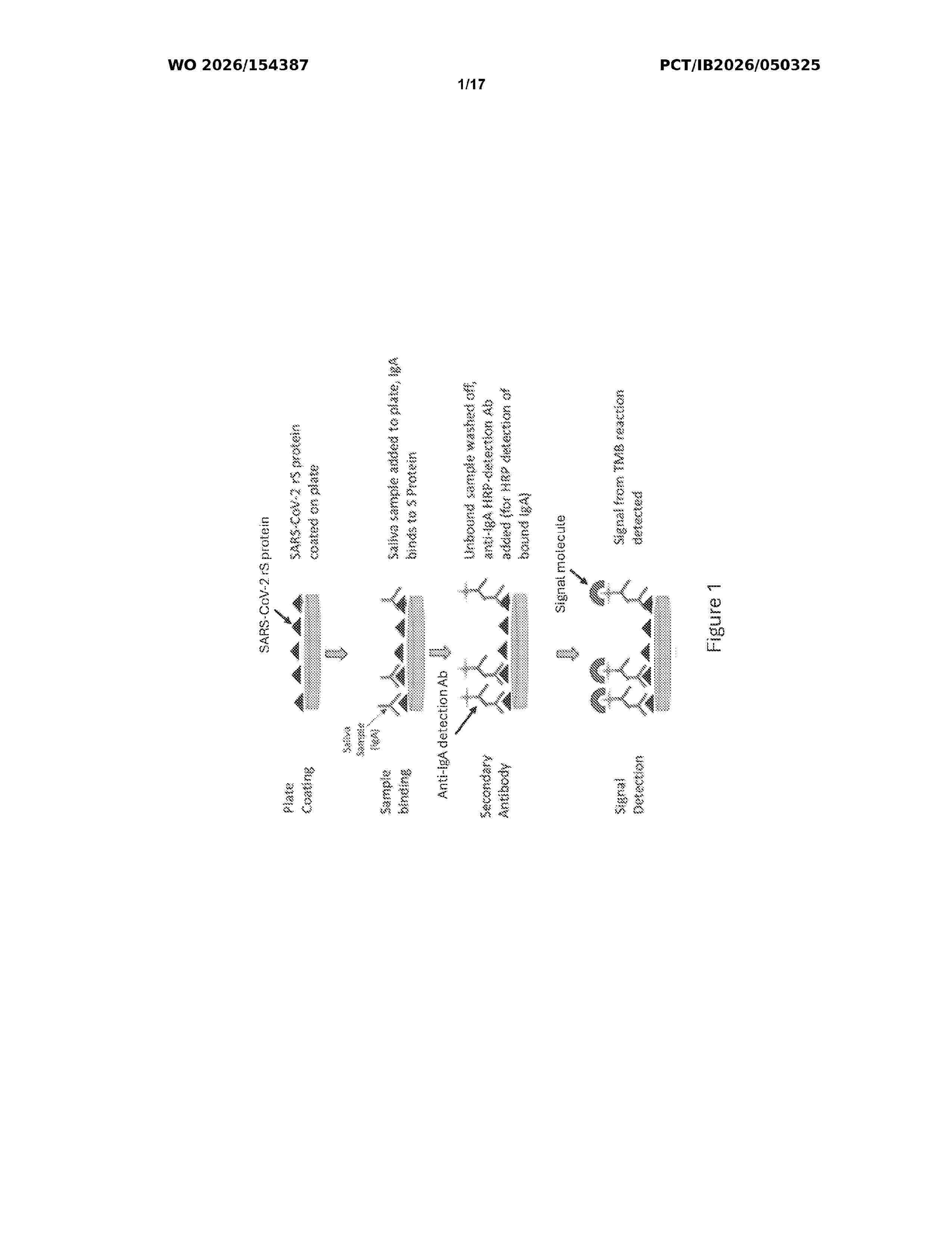 WO_2026154387_A1
