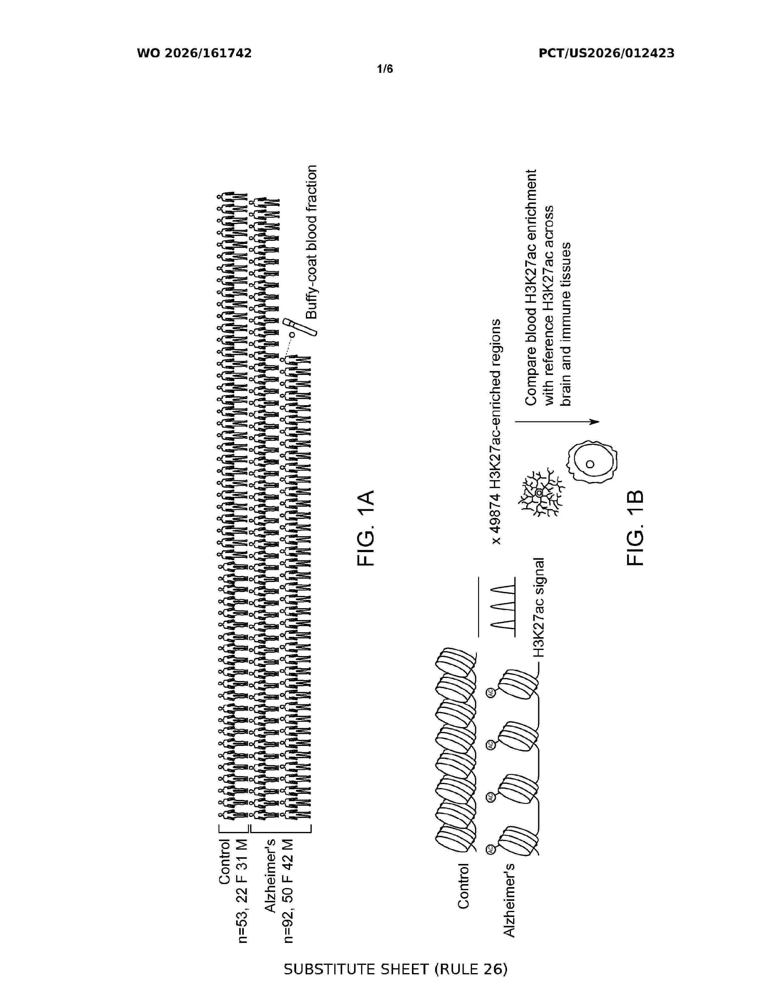 WO_2026161742_A1