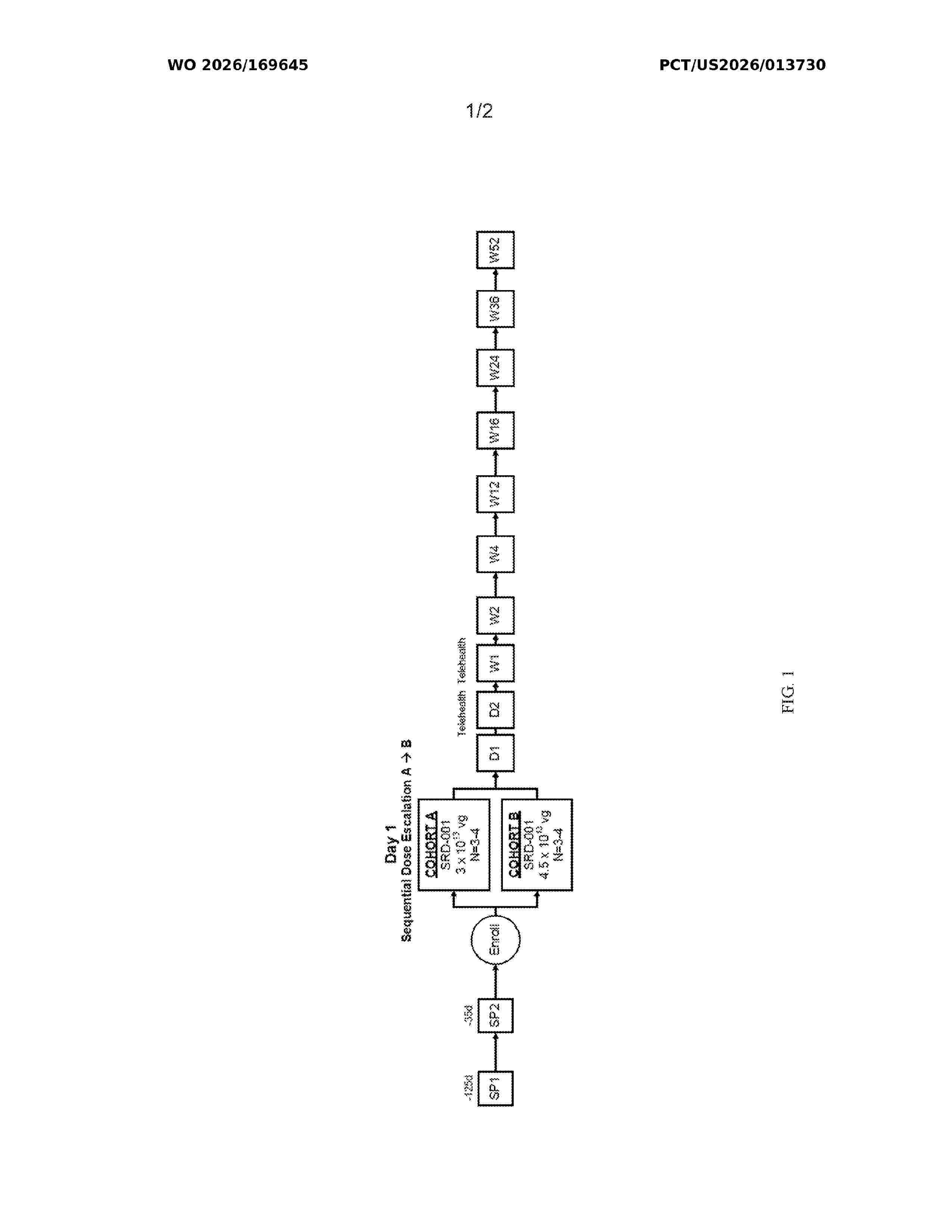 WO_2026169645_A1