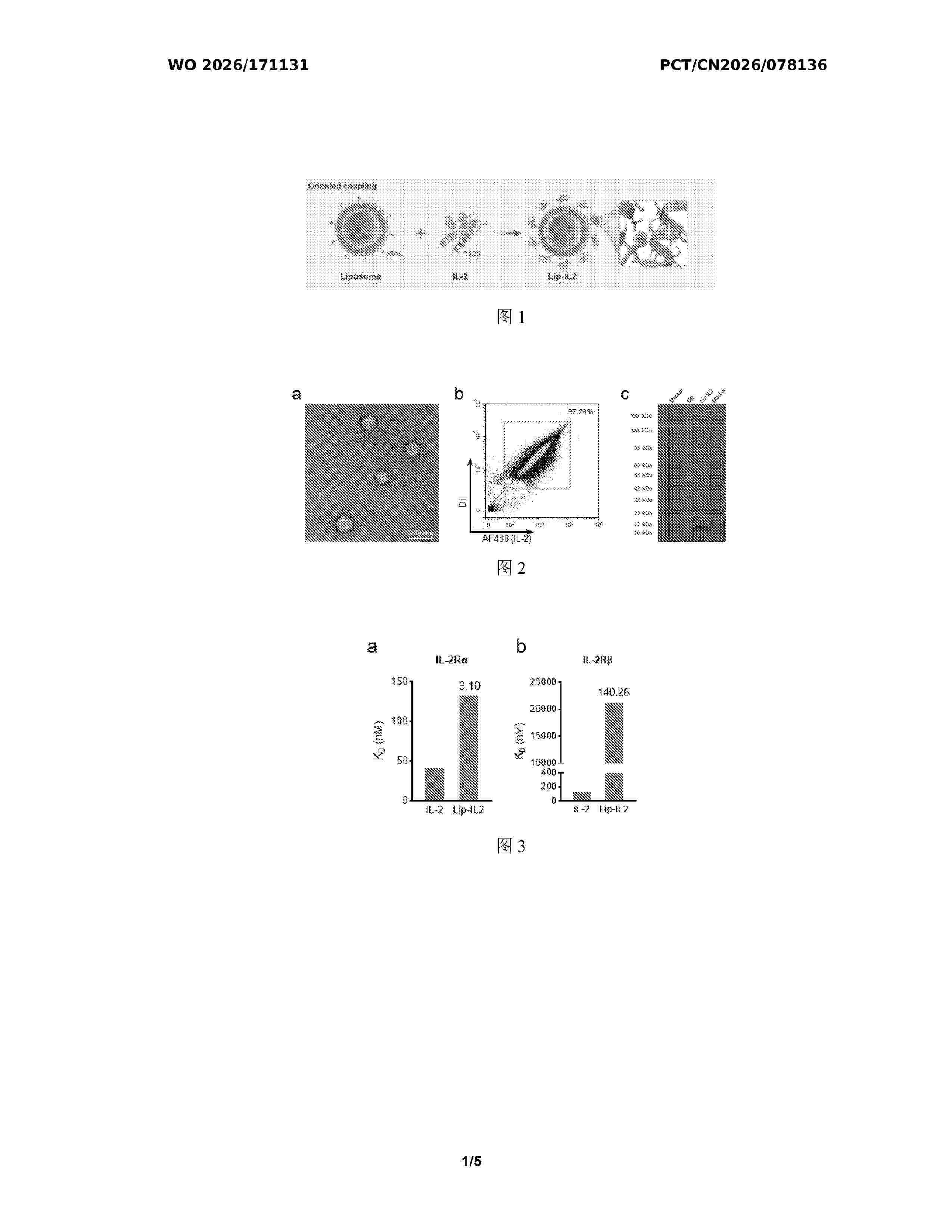 WO_2026171131_A1