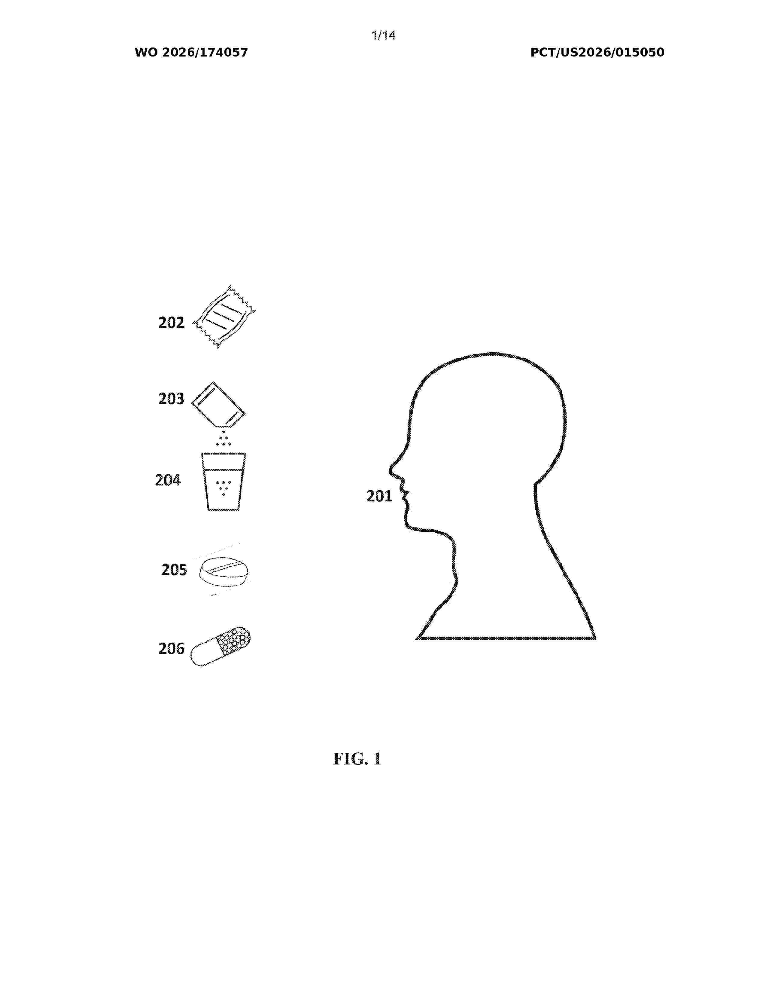 WO_2026174057_A1