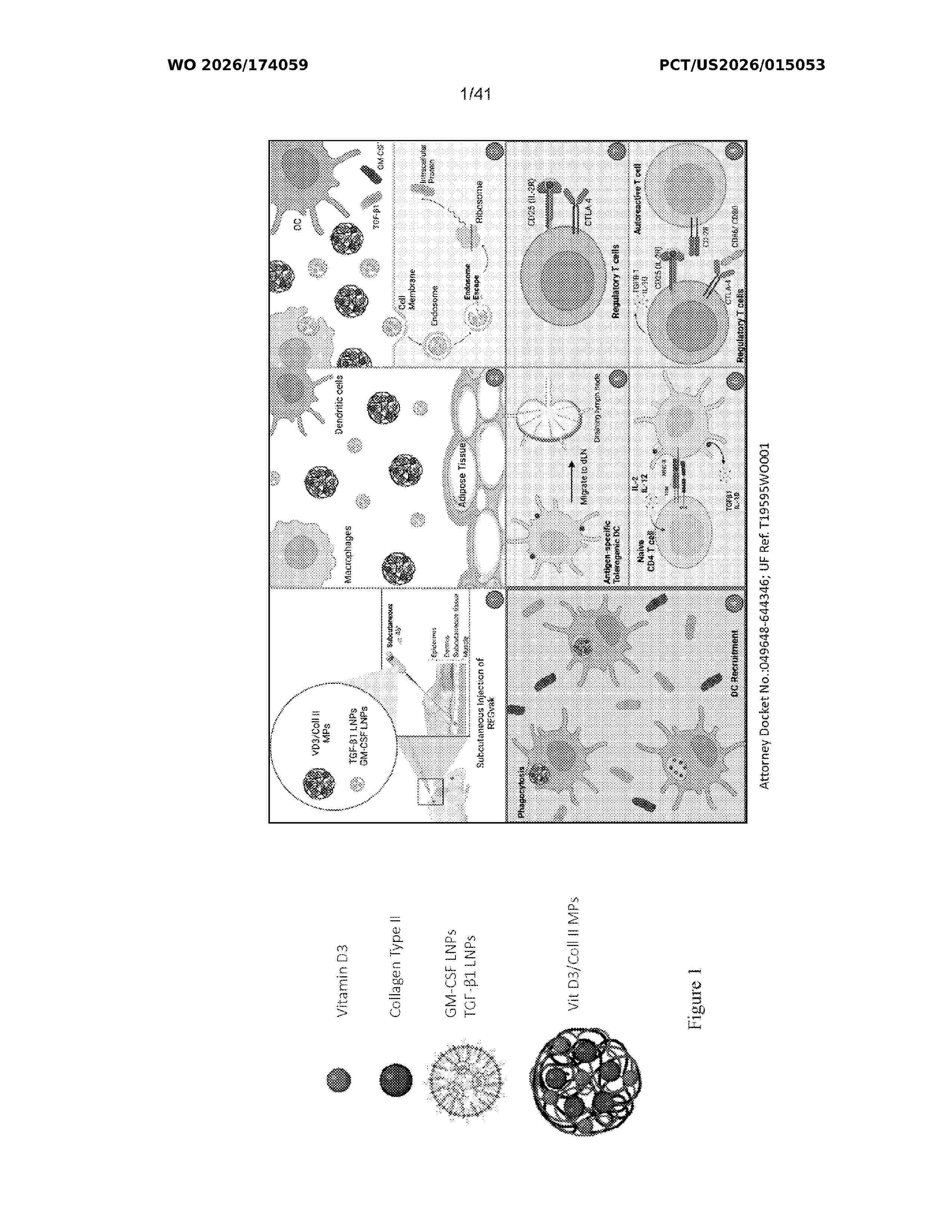 WO_2026174059_A1