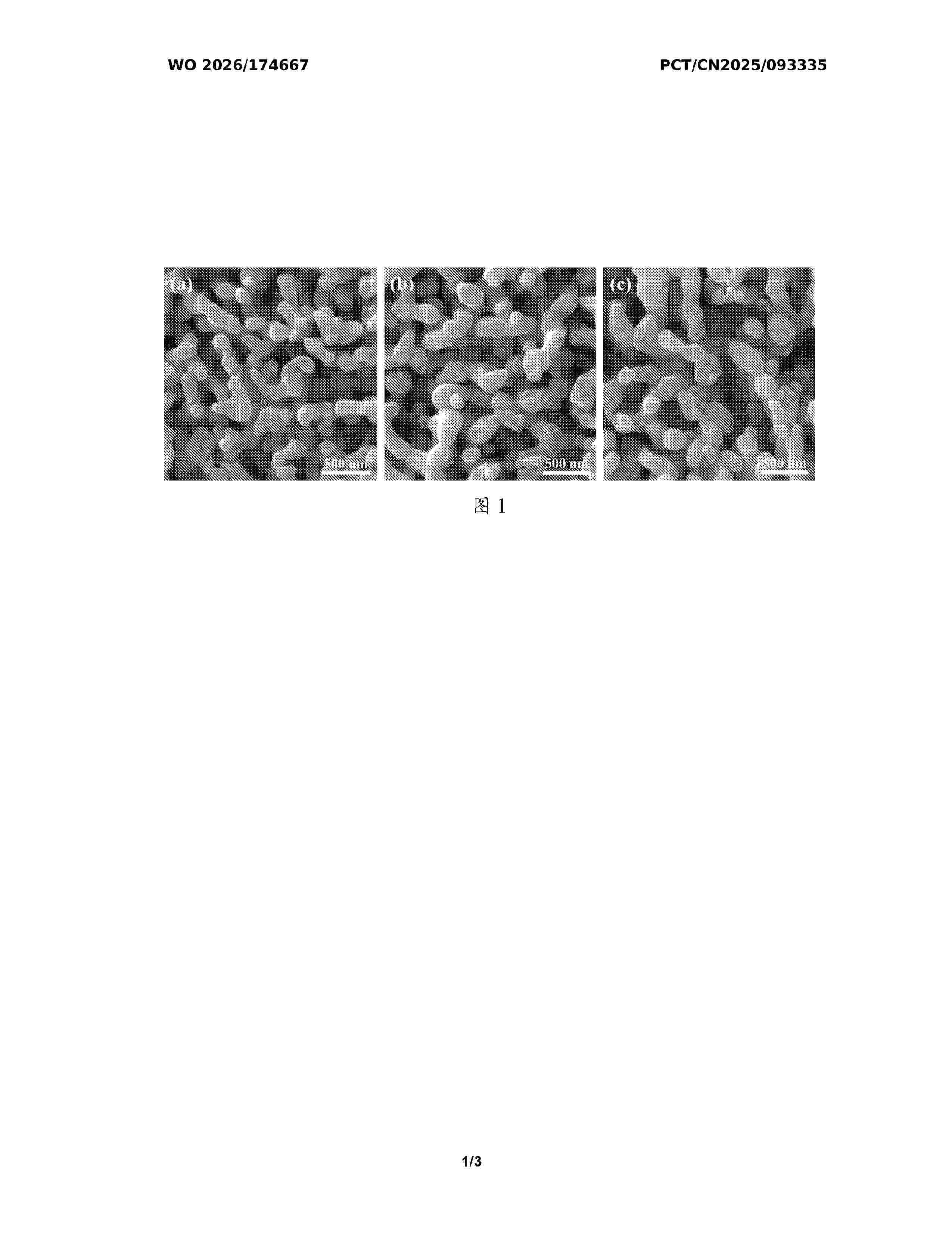 WO_2026174667_A1