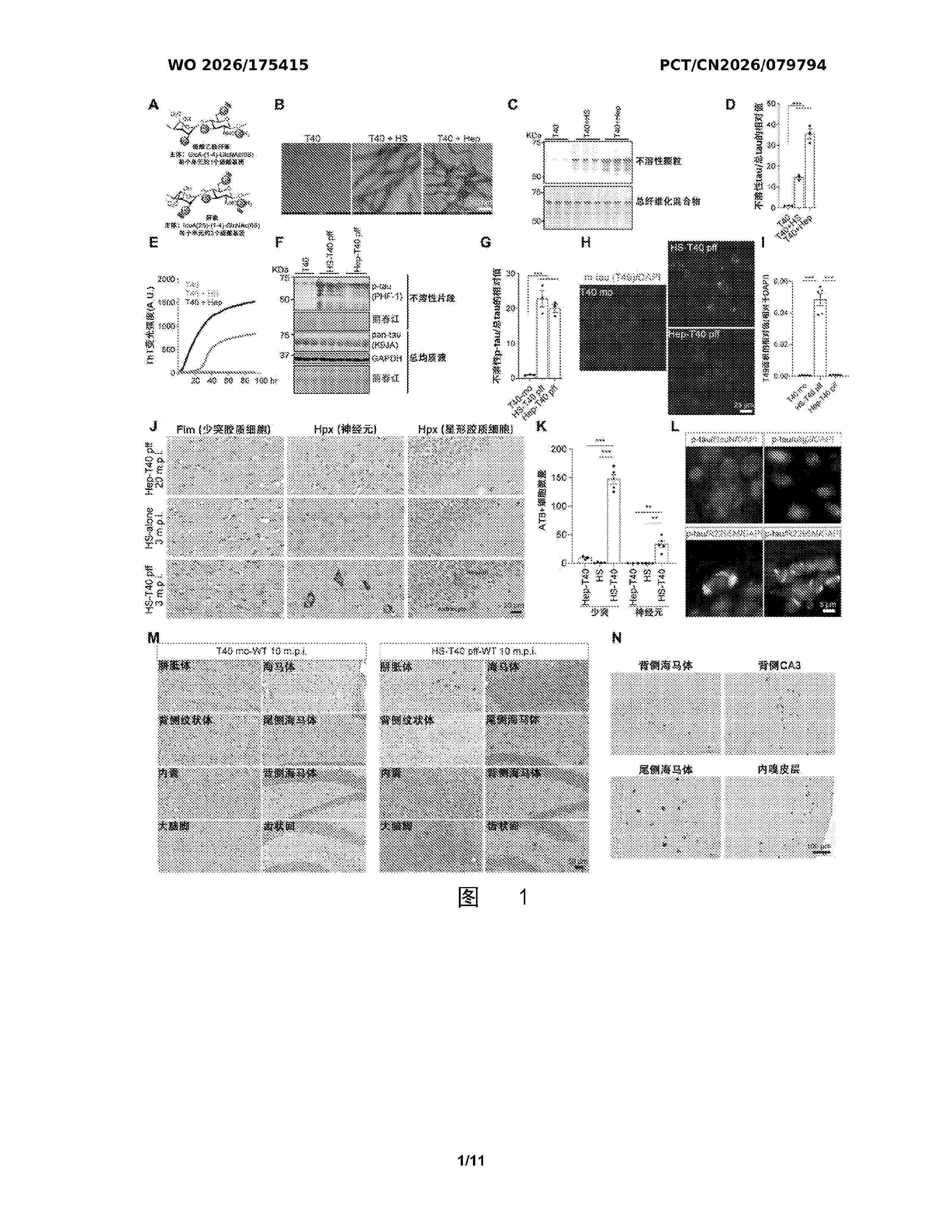 WO_2026175415_A1