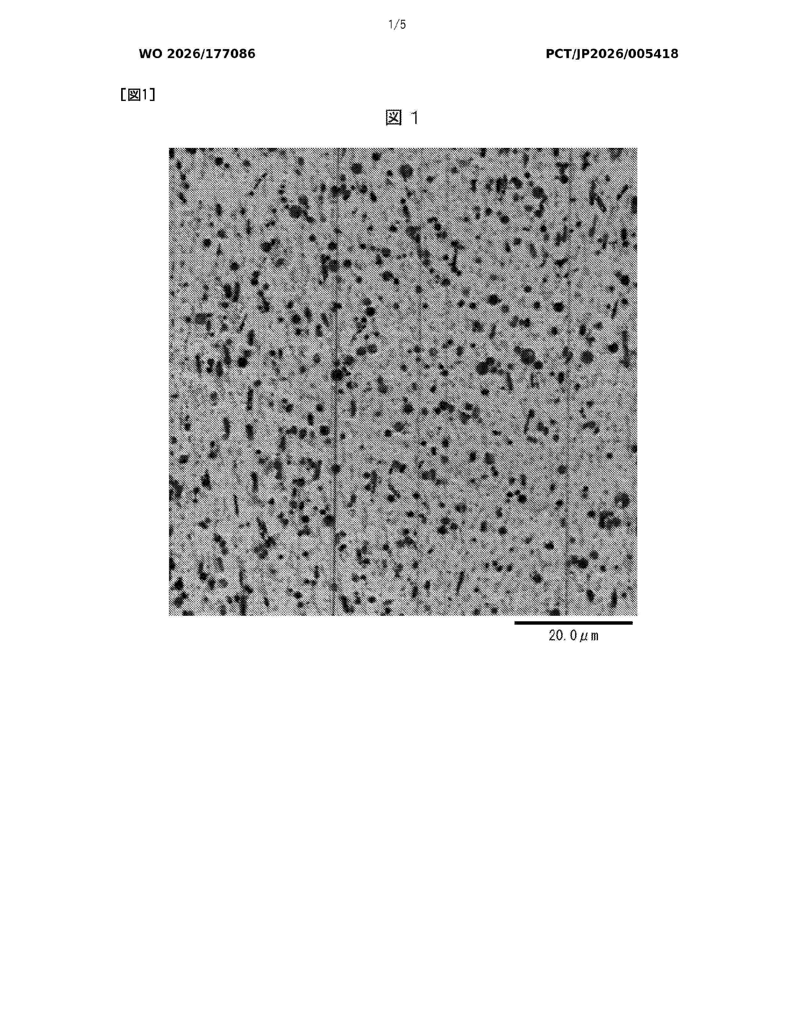WO_2026177086_A1