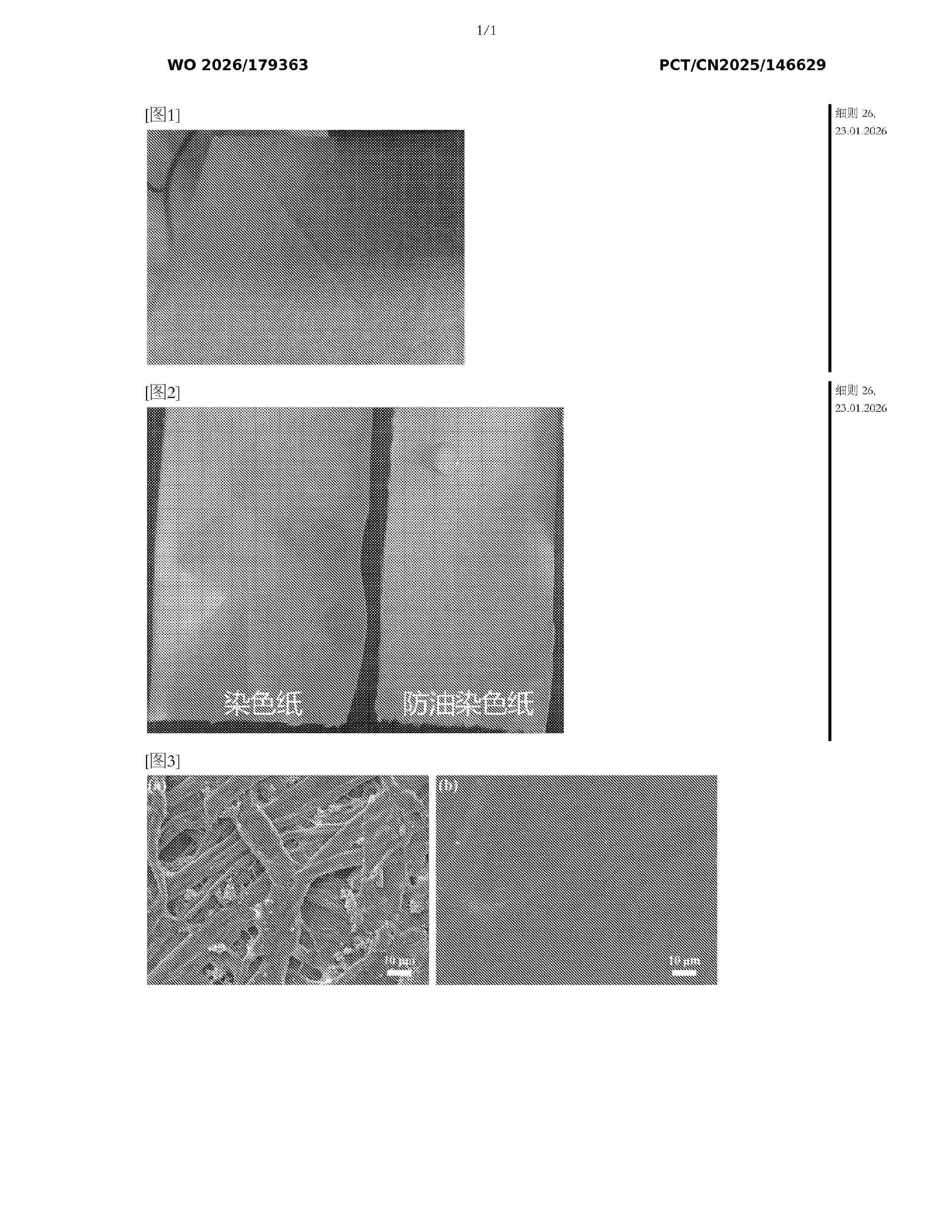 WO_2026179363_A1