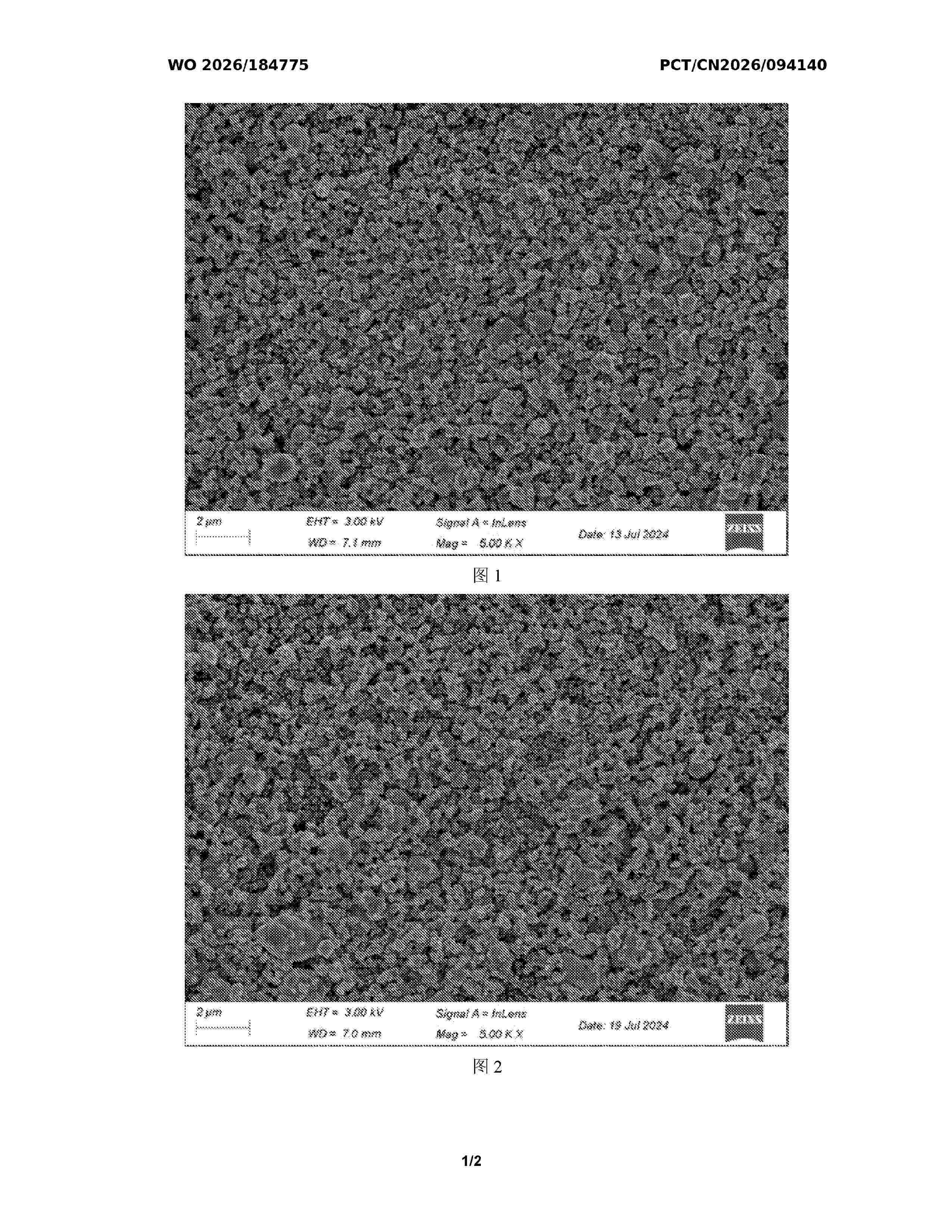 WO_2026184775_A2