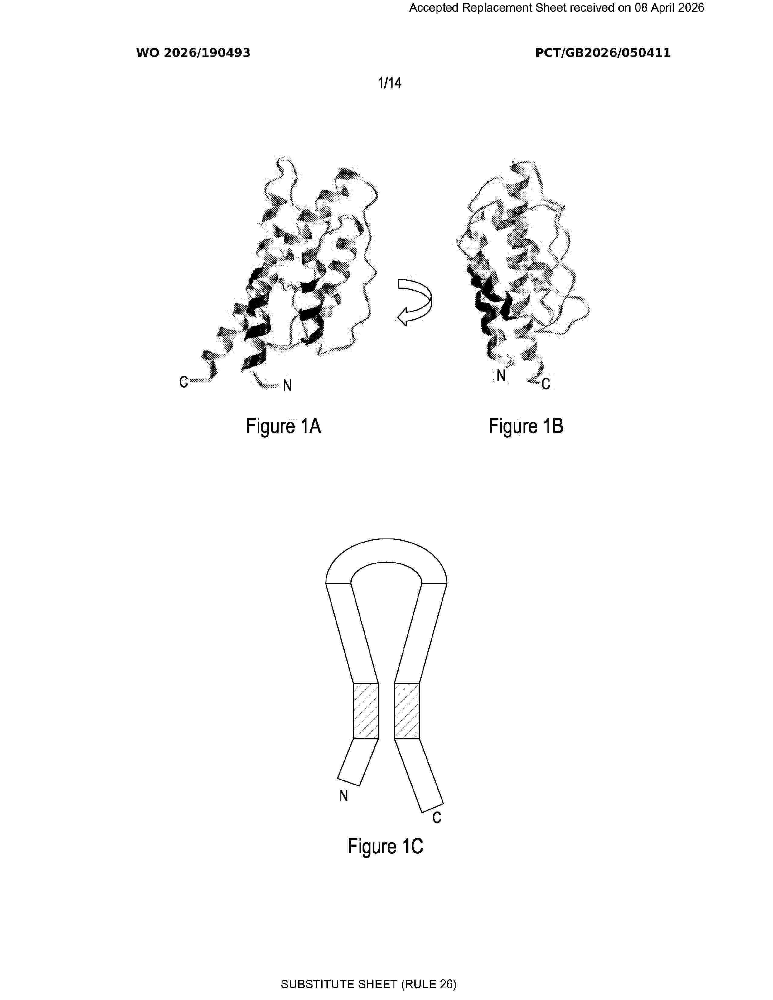 WO_2026190493_A1