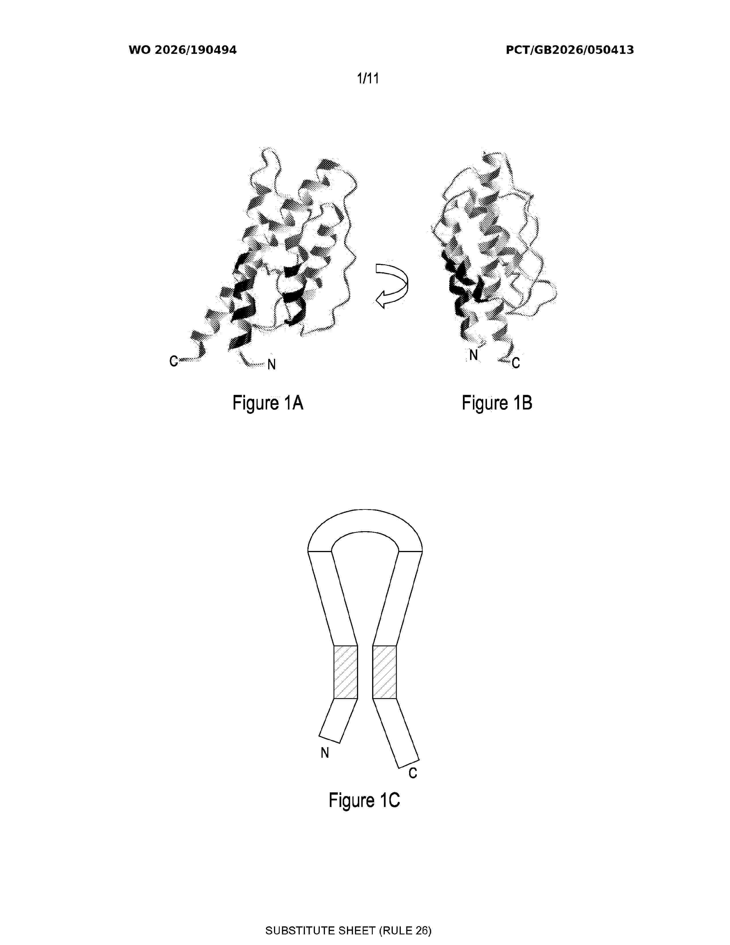 WO_2026190494_A1