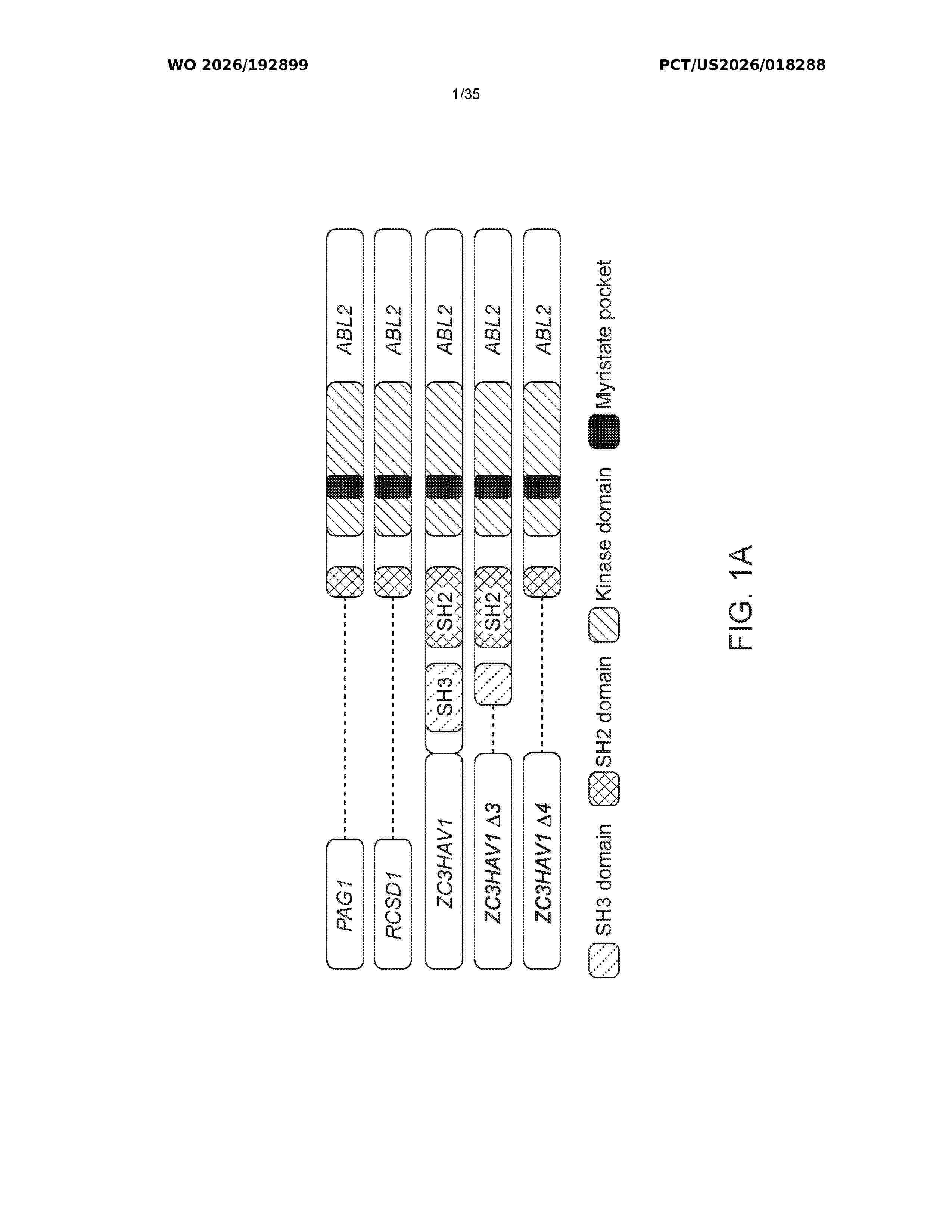 WO_2026192899_A1