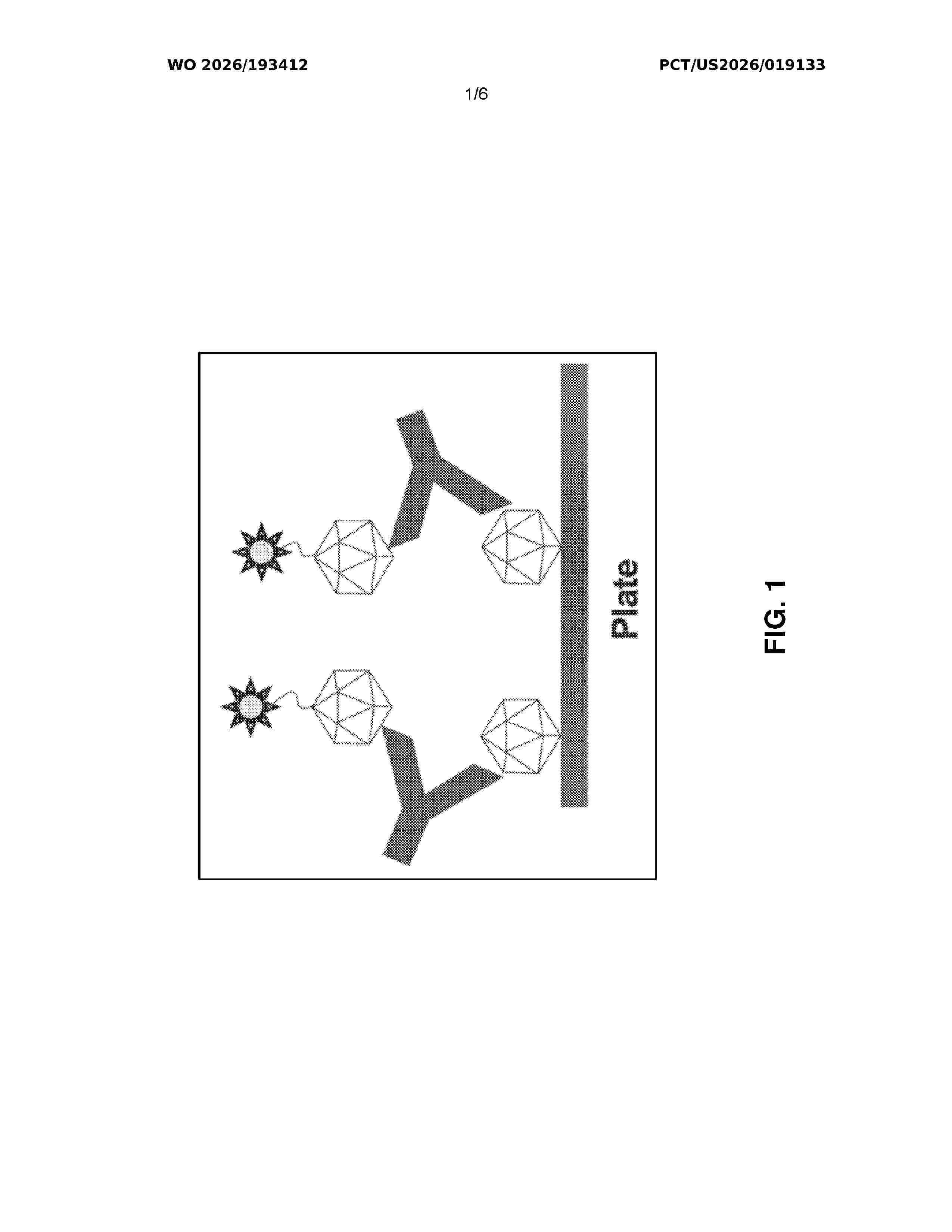 WO_2026193412_A1