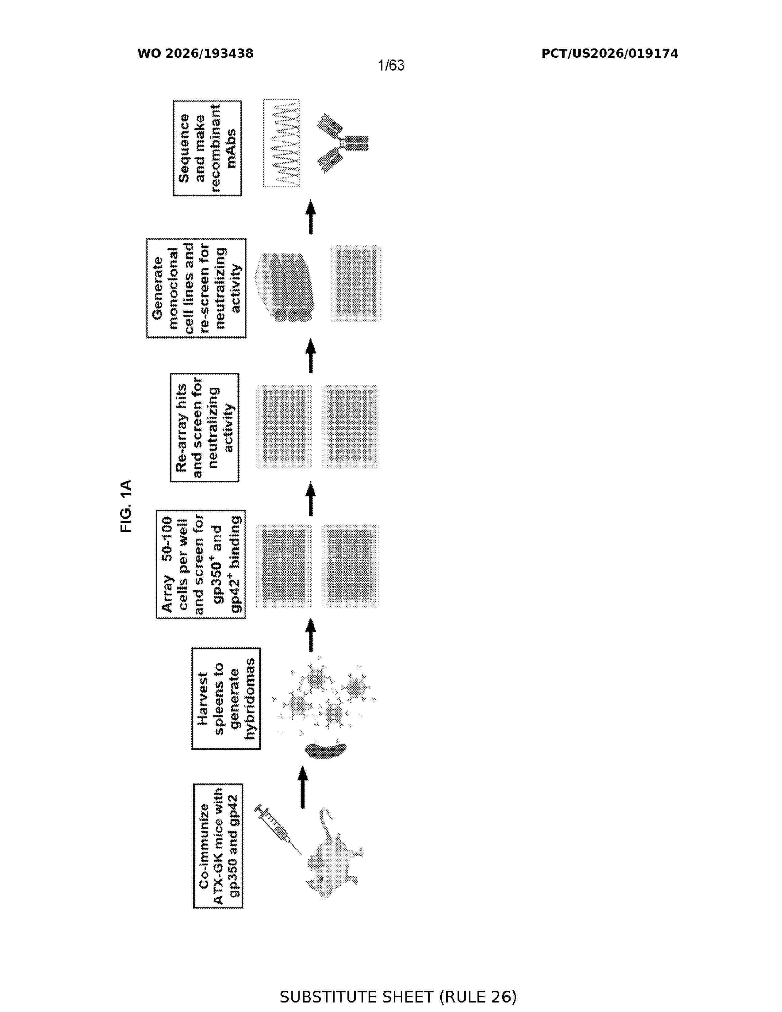 WO_2026193438_A1