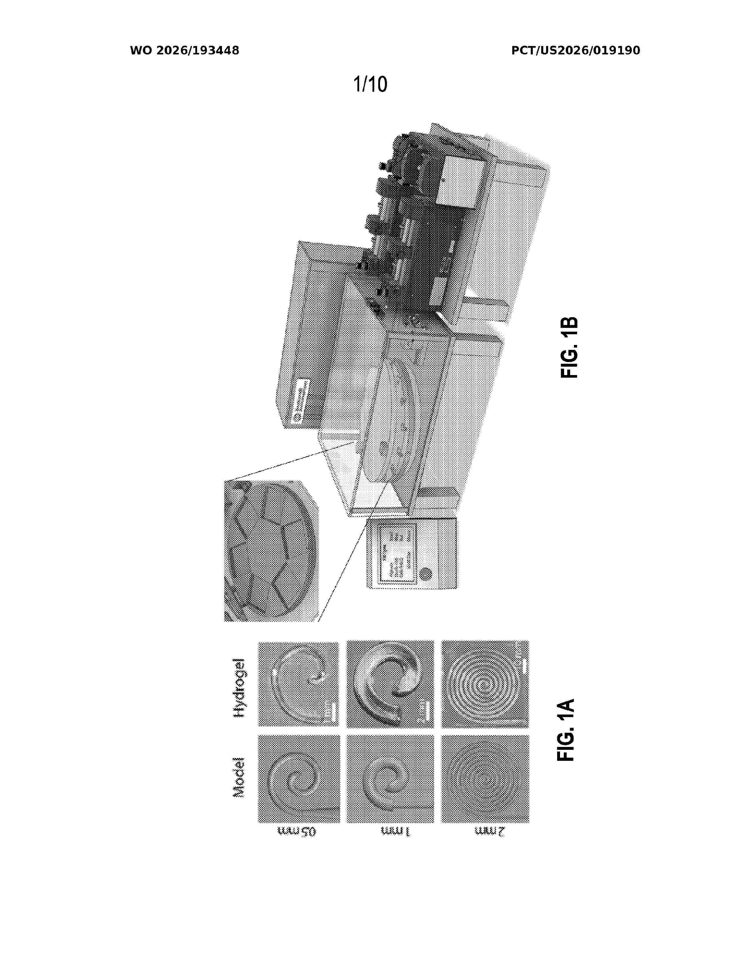 WO_2026193448_A1
