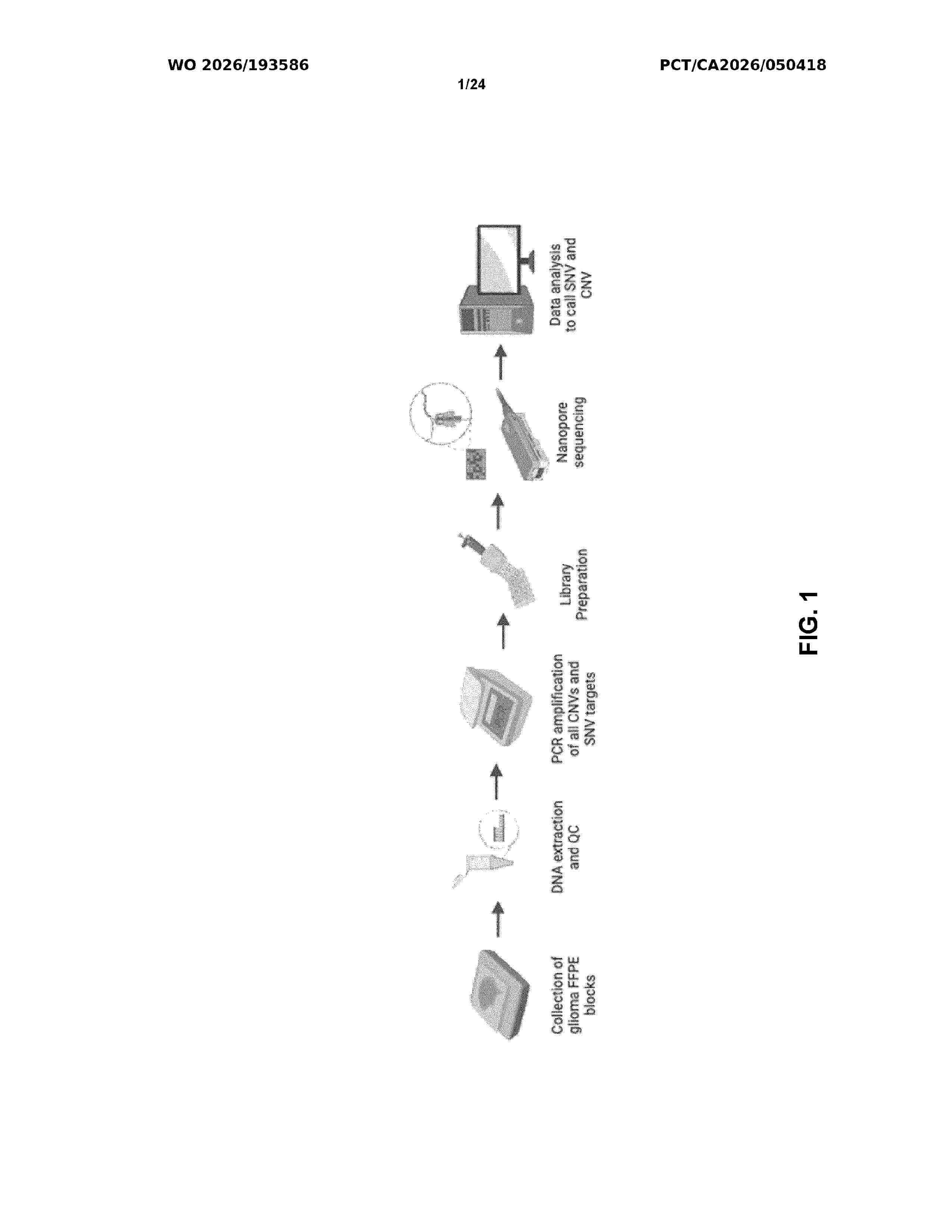 WO_2026193586_A1