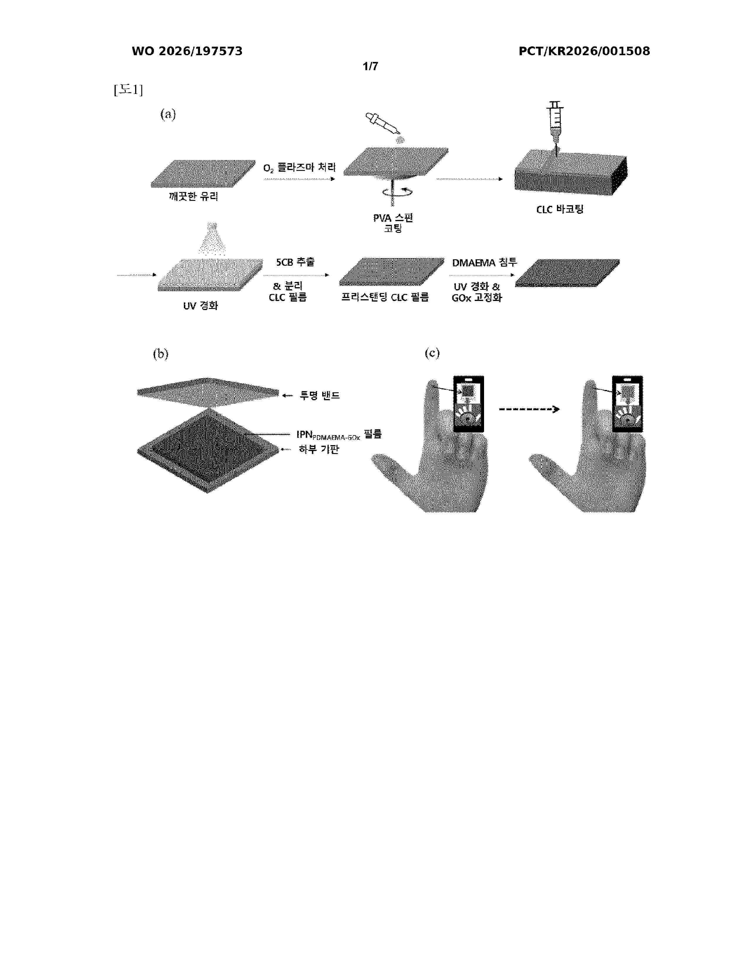 WO_2026197573_A1