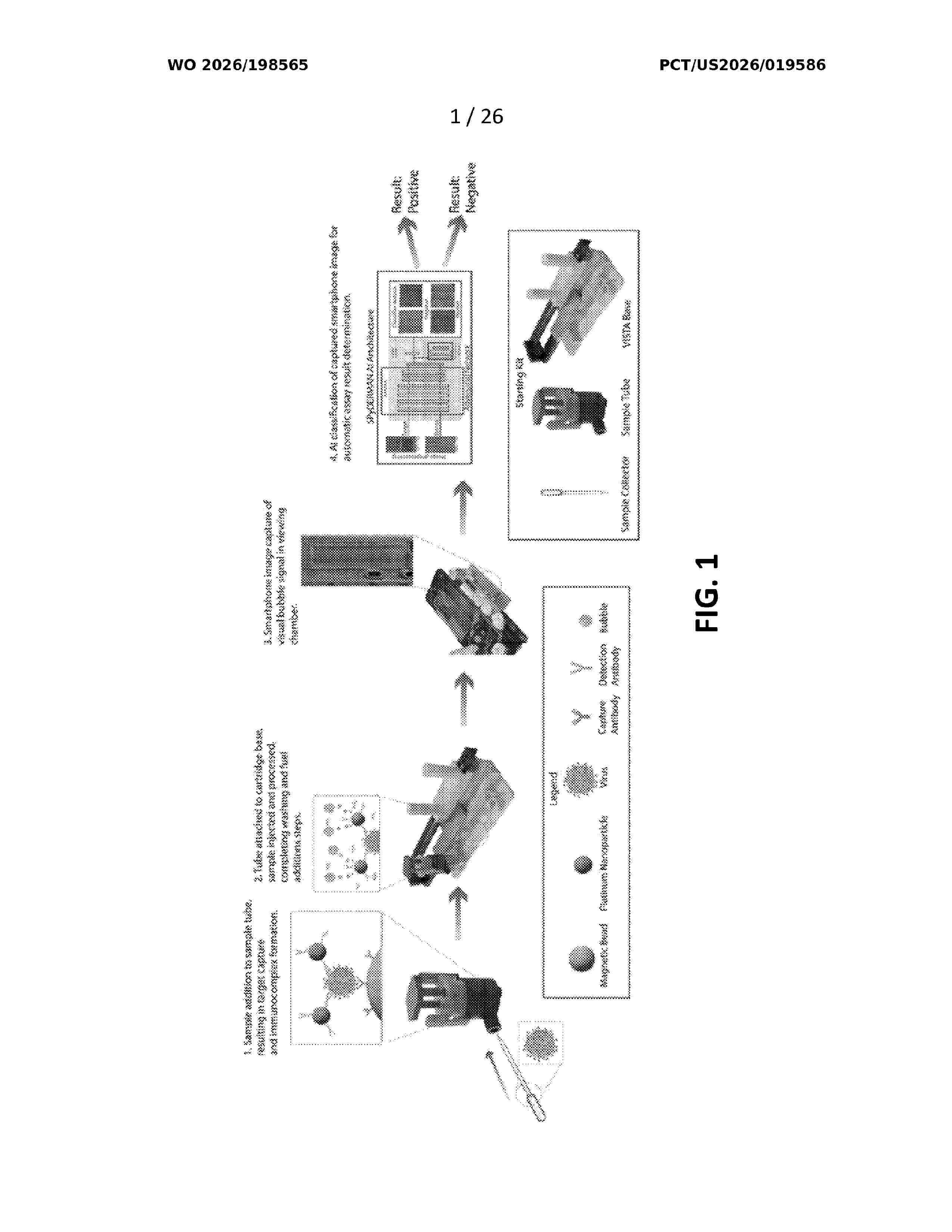 WO_2026198565_A1