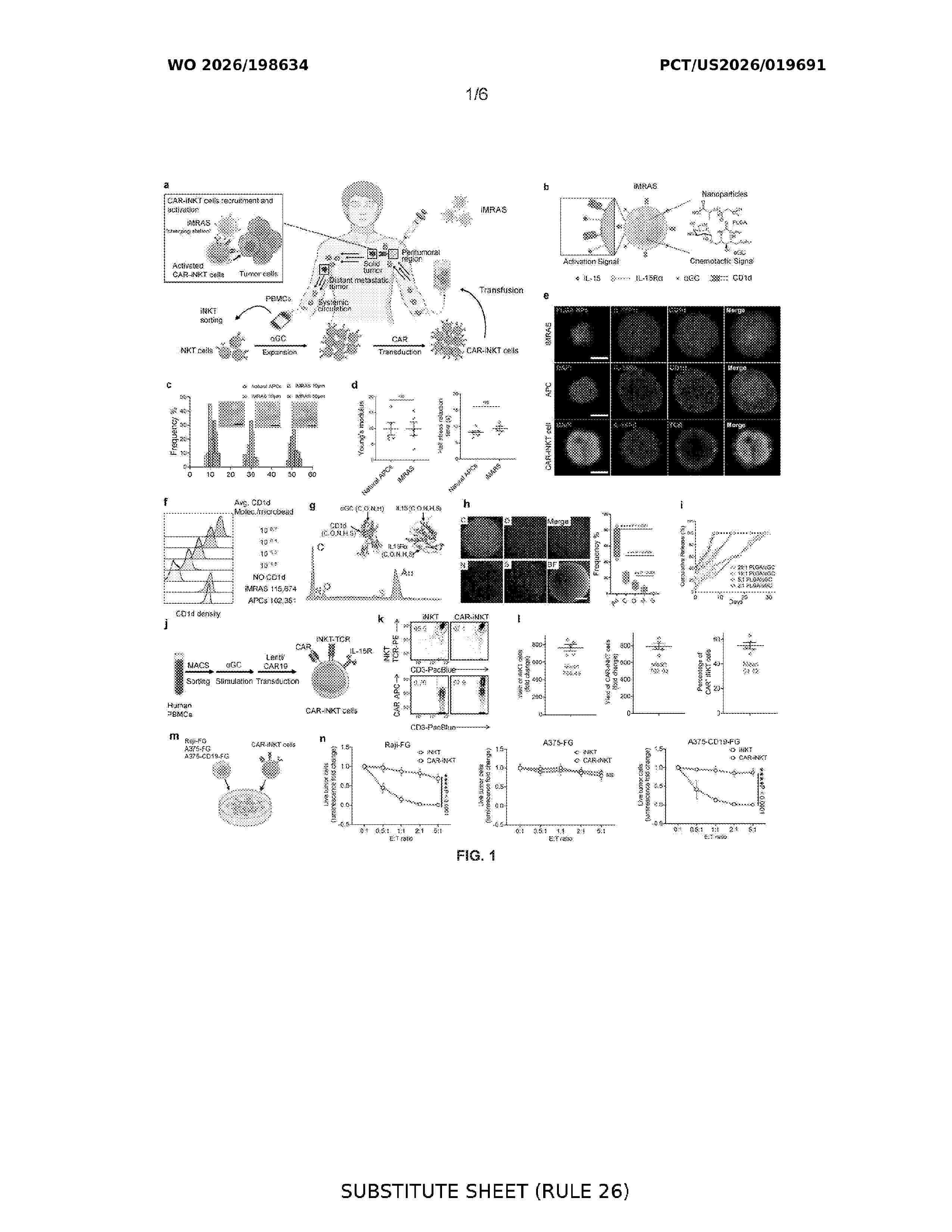 WO_2026198634_A1